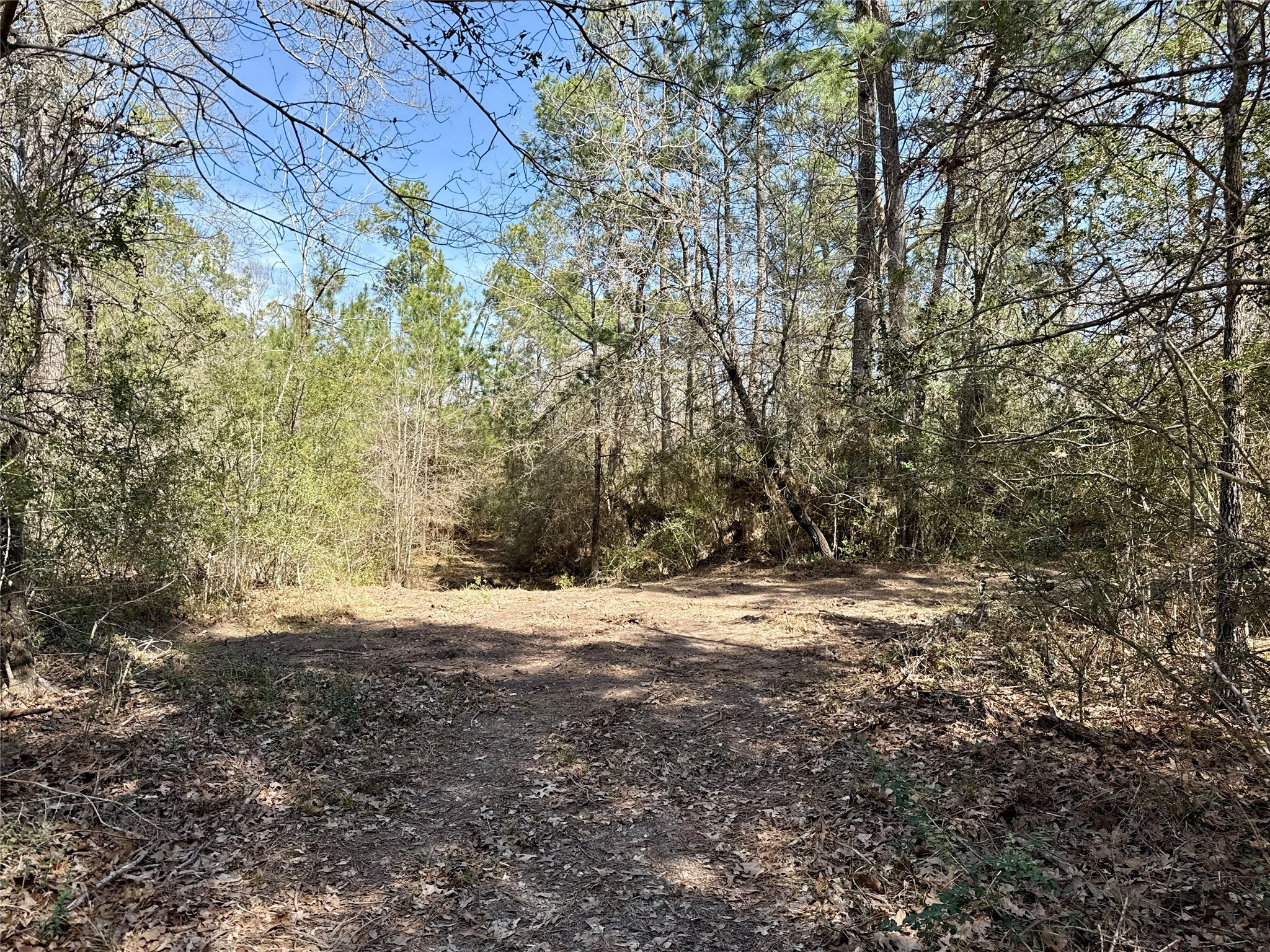 10+/- Acres Round Prairie Rd Property Photo 9