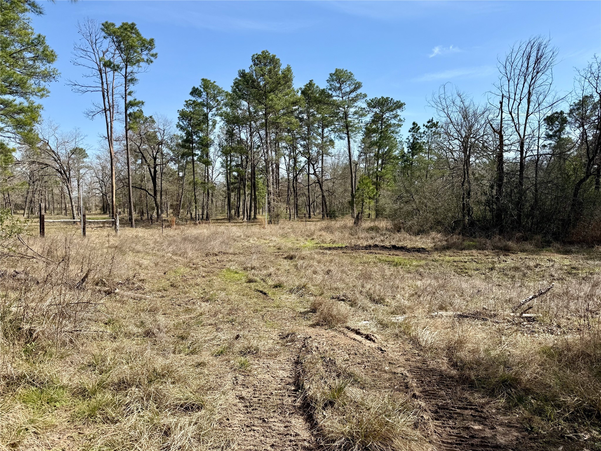 10+/- Acres Round Prairie Rd Property Photo 10