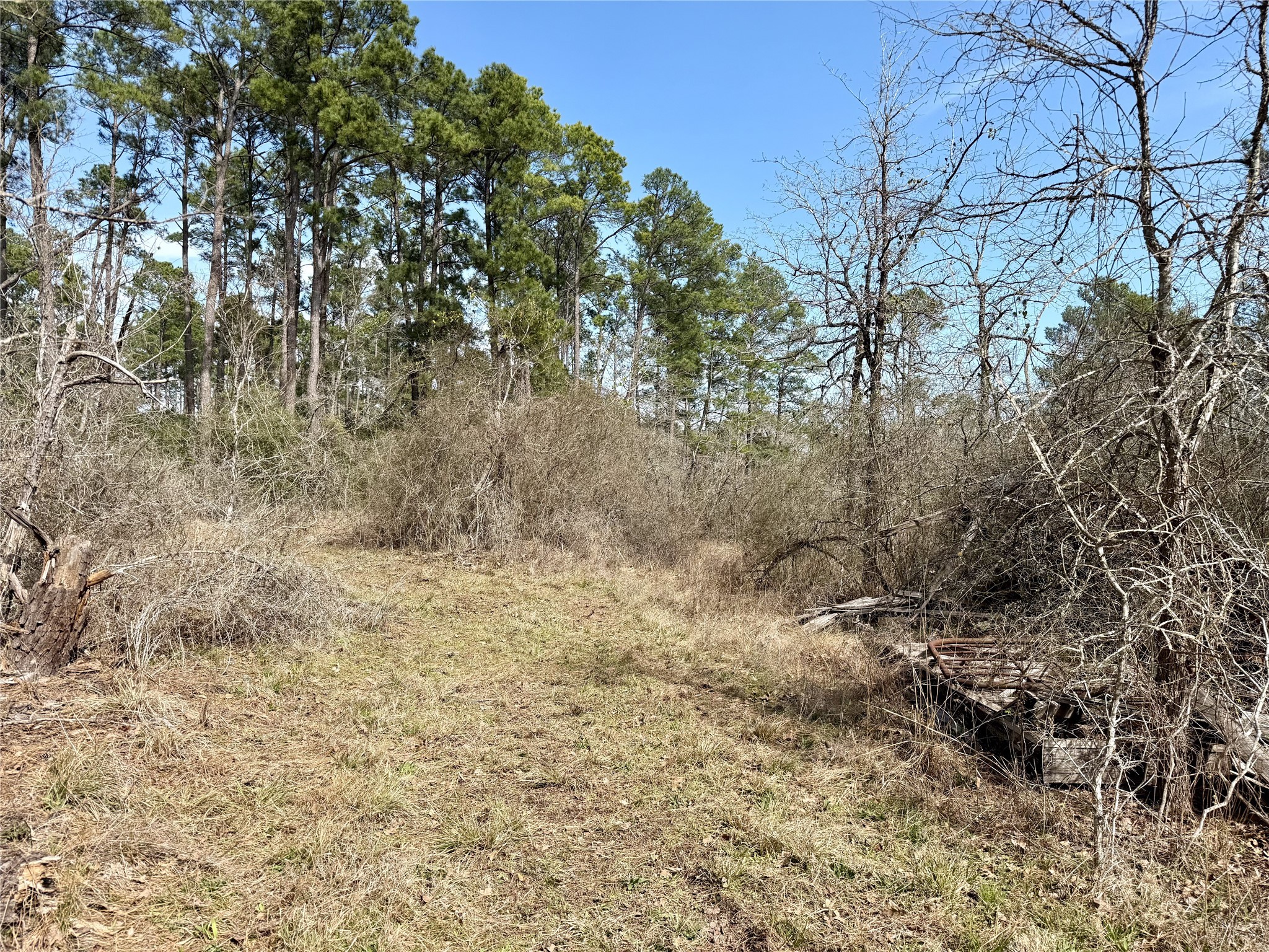 10+/- Acres Round Prairie Rd Property Photo 11
