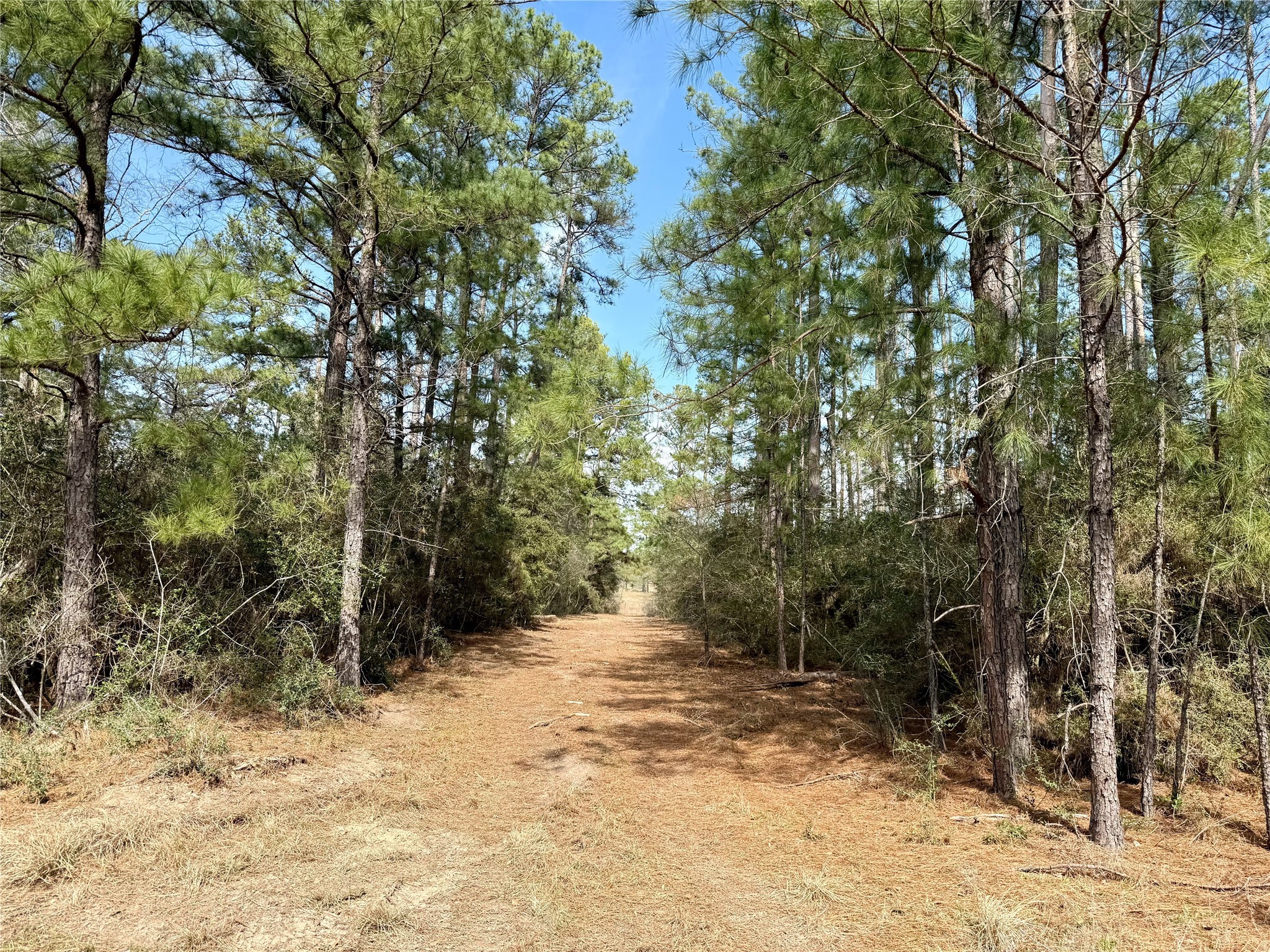 10+/- Acres Round Prairie Rd Property Photo 12