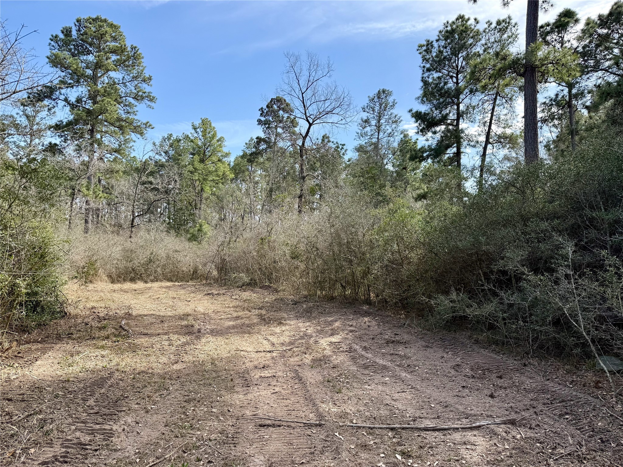 10+/- Acres Round Prairie Rd Property Photo 15