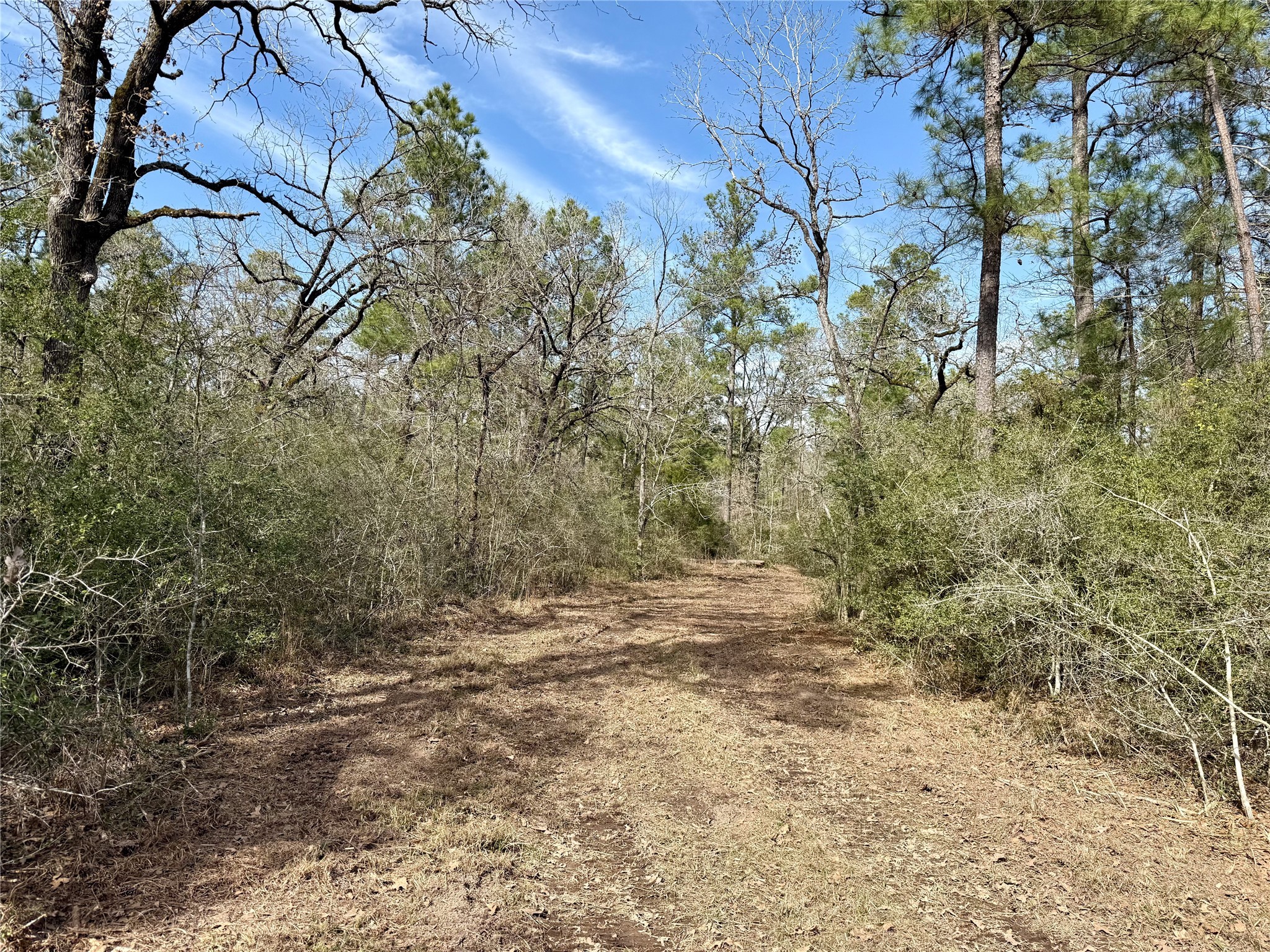 10+/- Acres Round Prairie Rd Property Photo 16