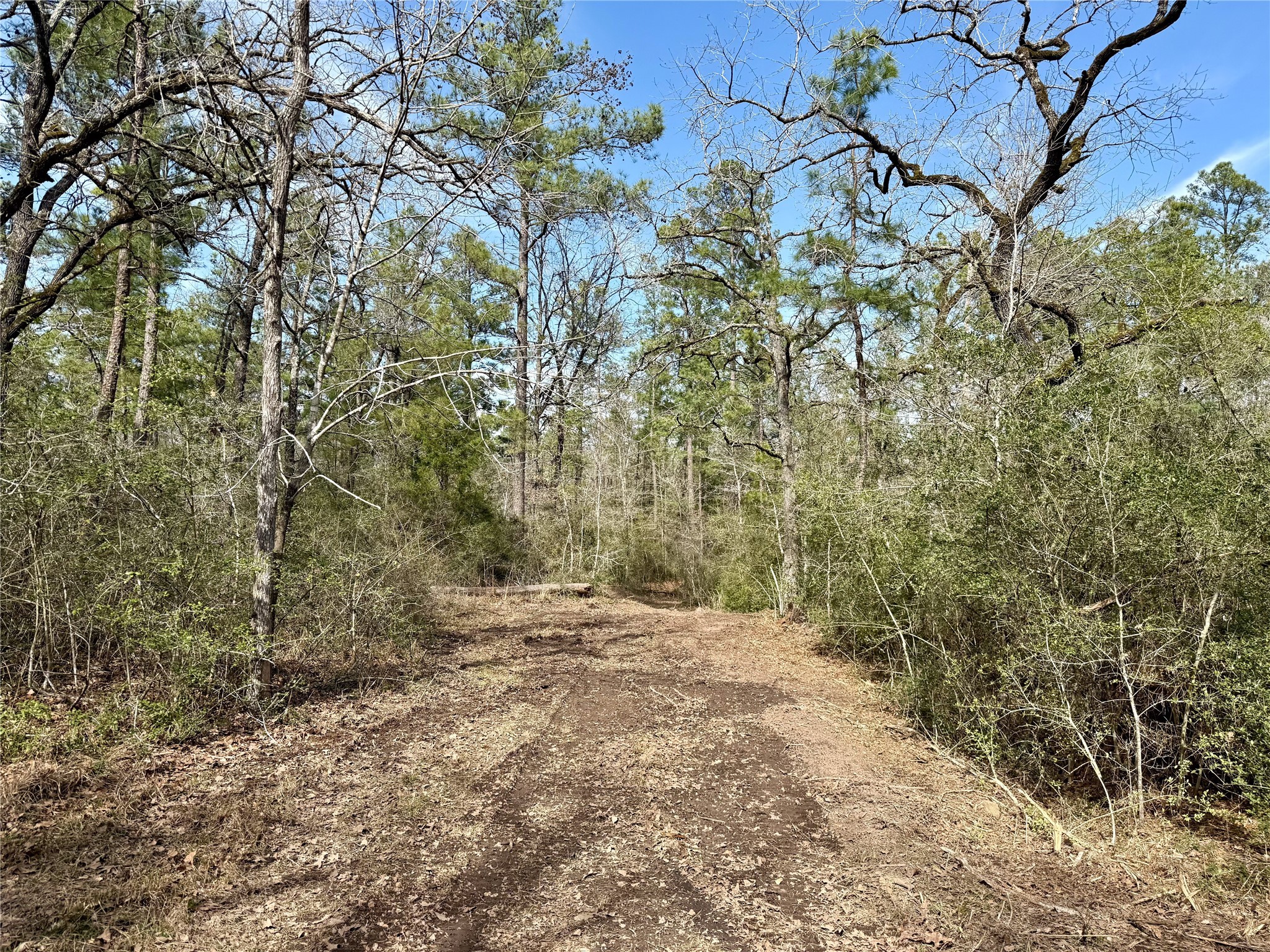 10+/- Acres Round Prairie Rd Property Photo 17