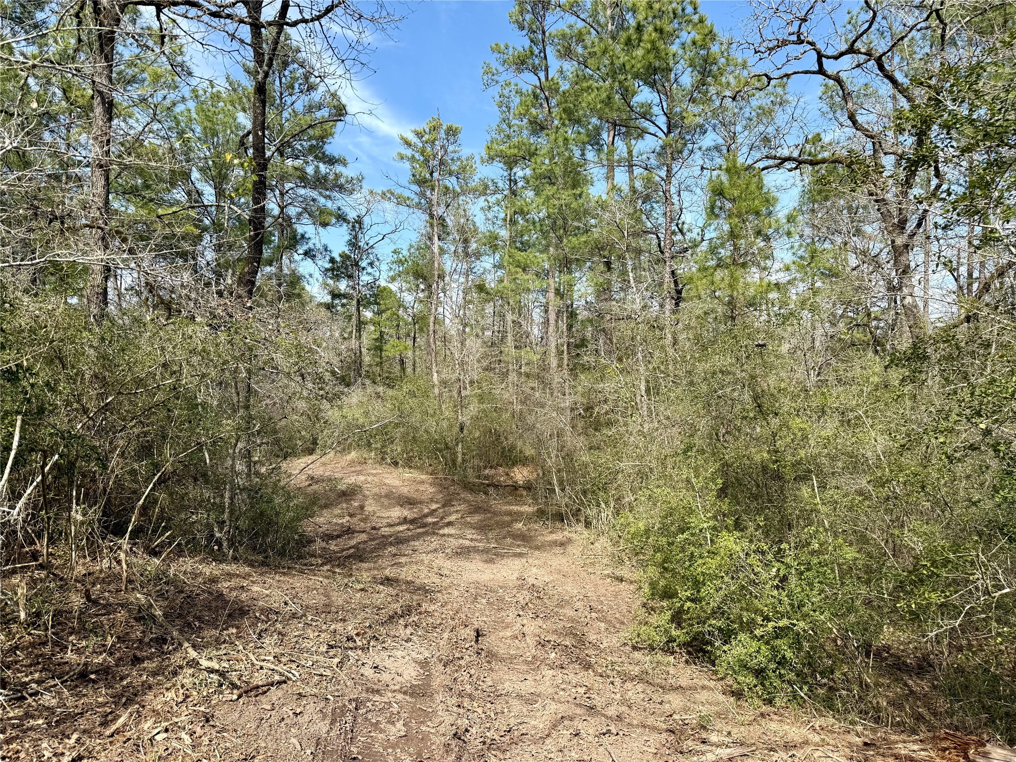 10+/- Acres Round Prairie Rd Property Photo 18