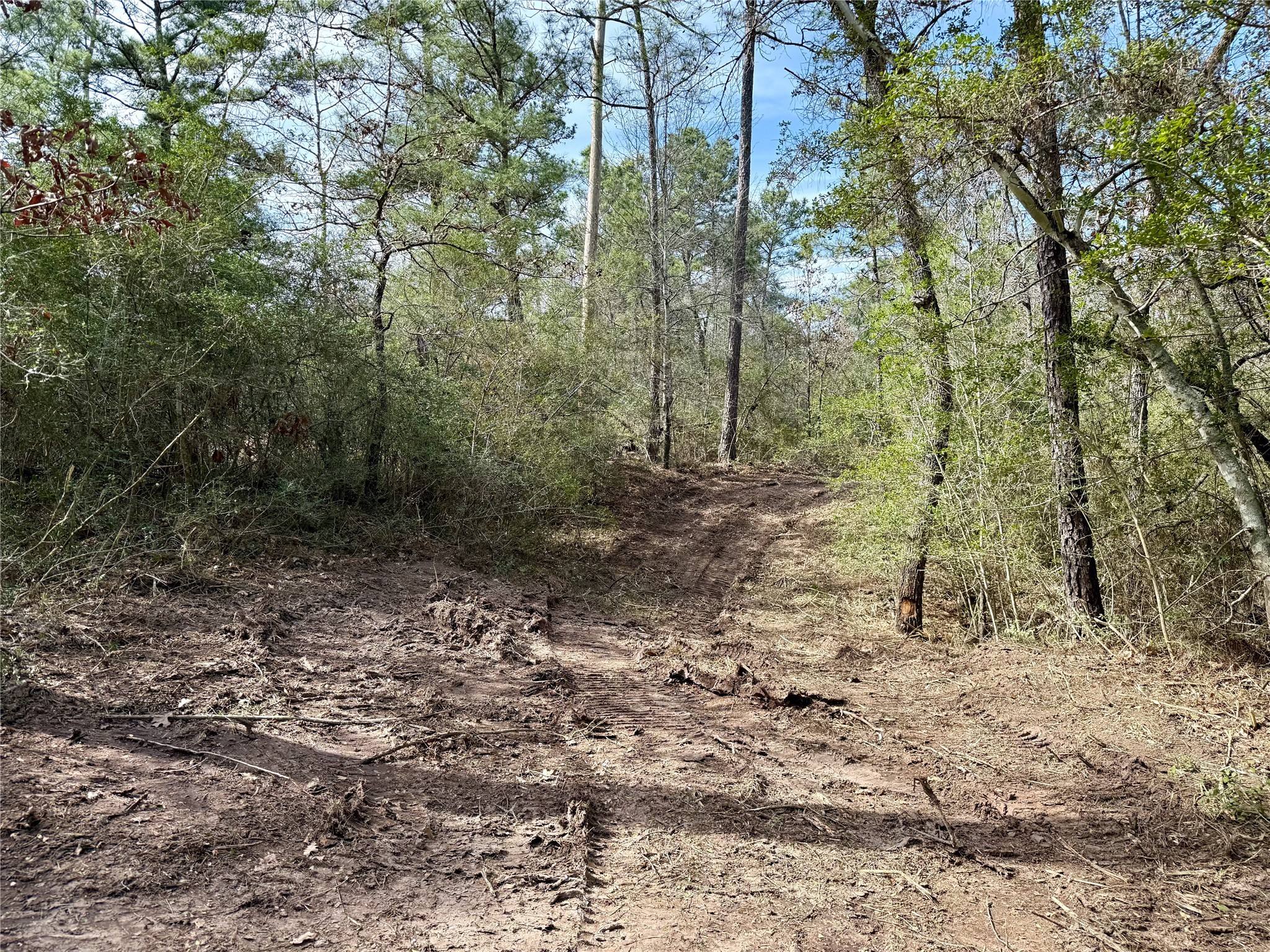 10+/- Acres Round Prairie Rd Property Photo 19