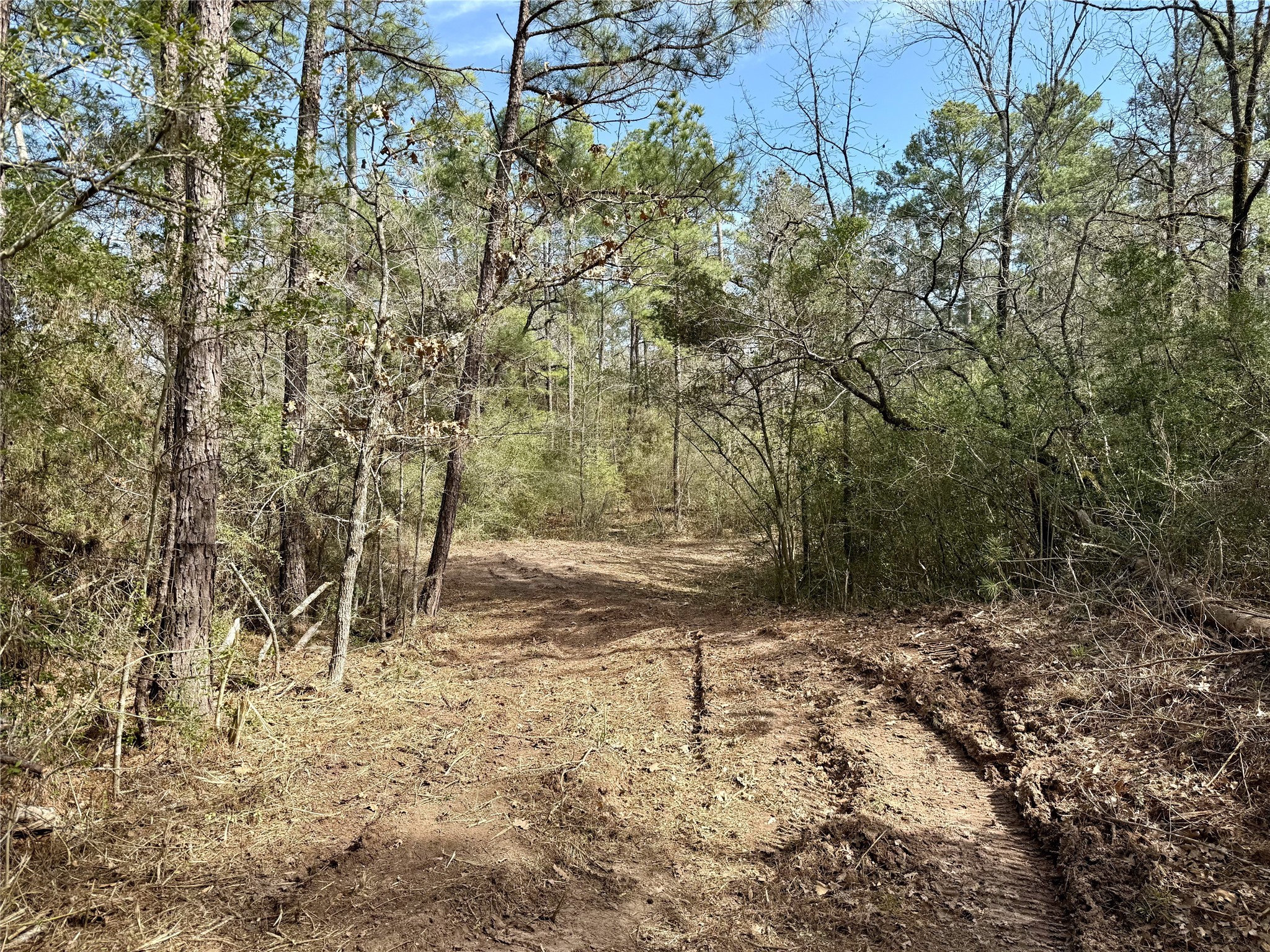 10+/- Acres Round Prairie Rd Property Photo 20
