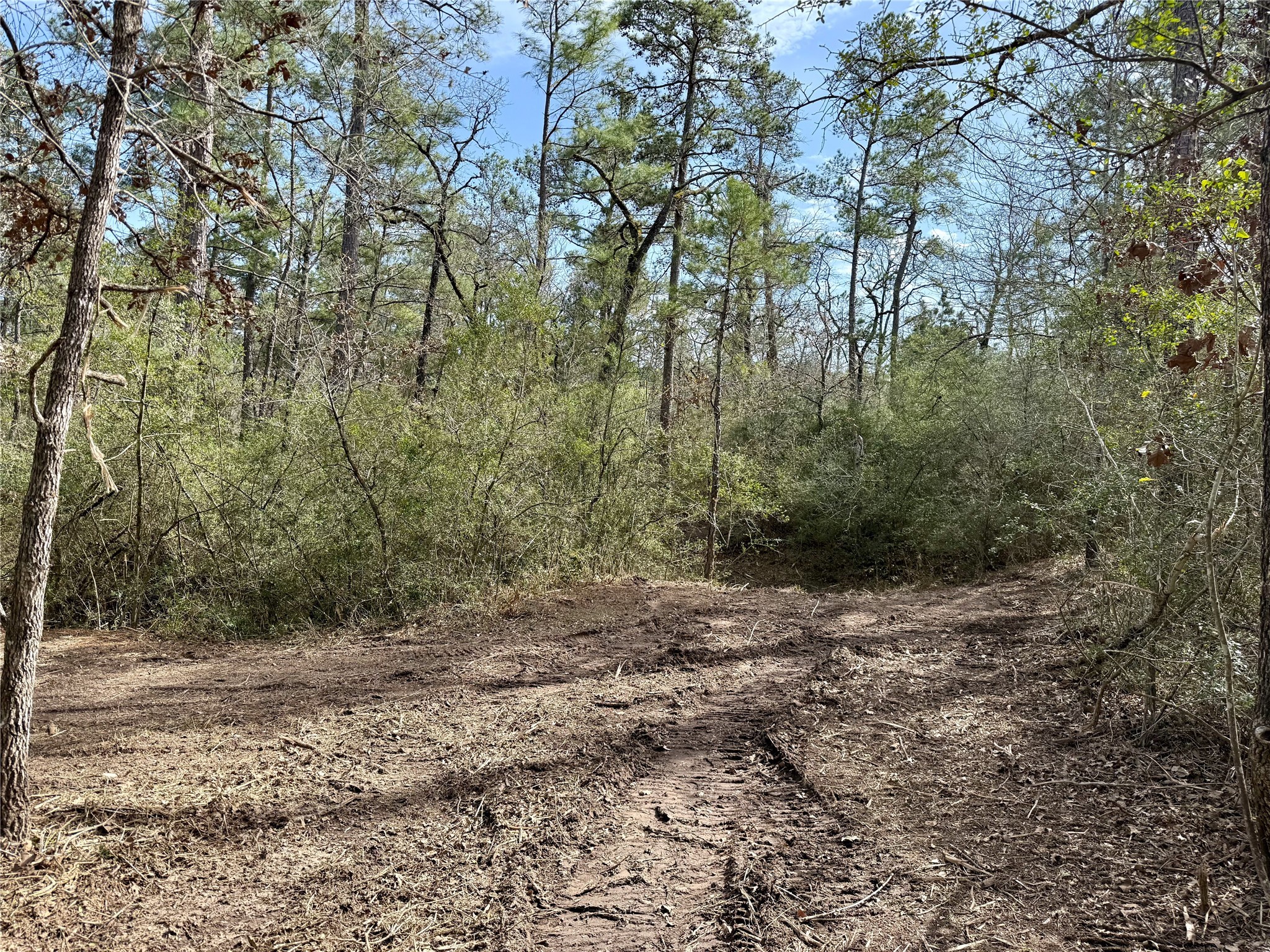 10+/- Acres Round Prairie Rd Property Photo 21