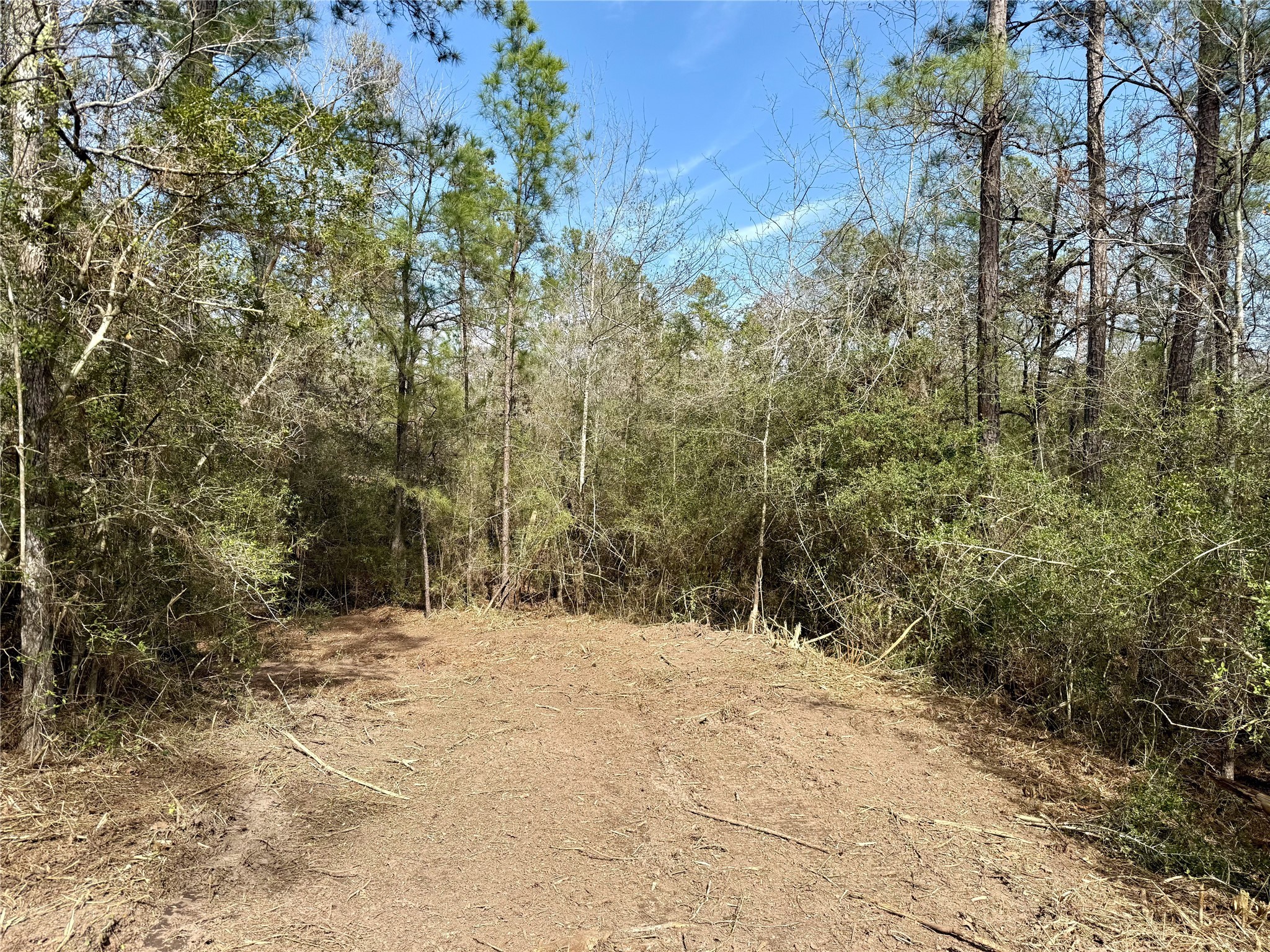 10+/- Acres Round Prairie Rd Property Photo 22