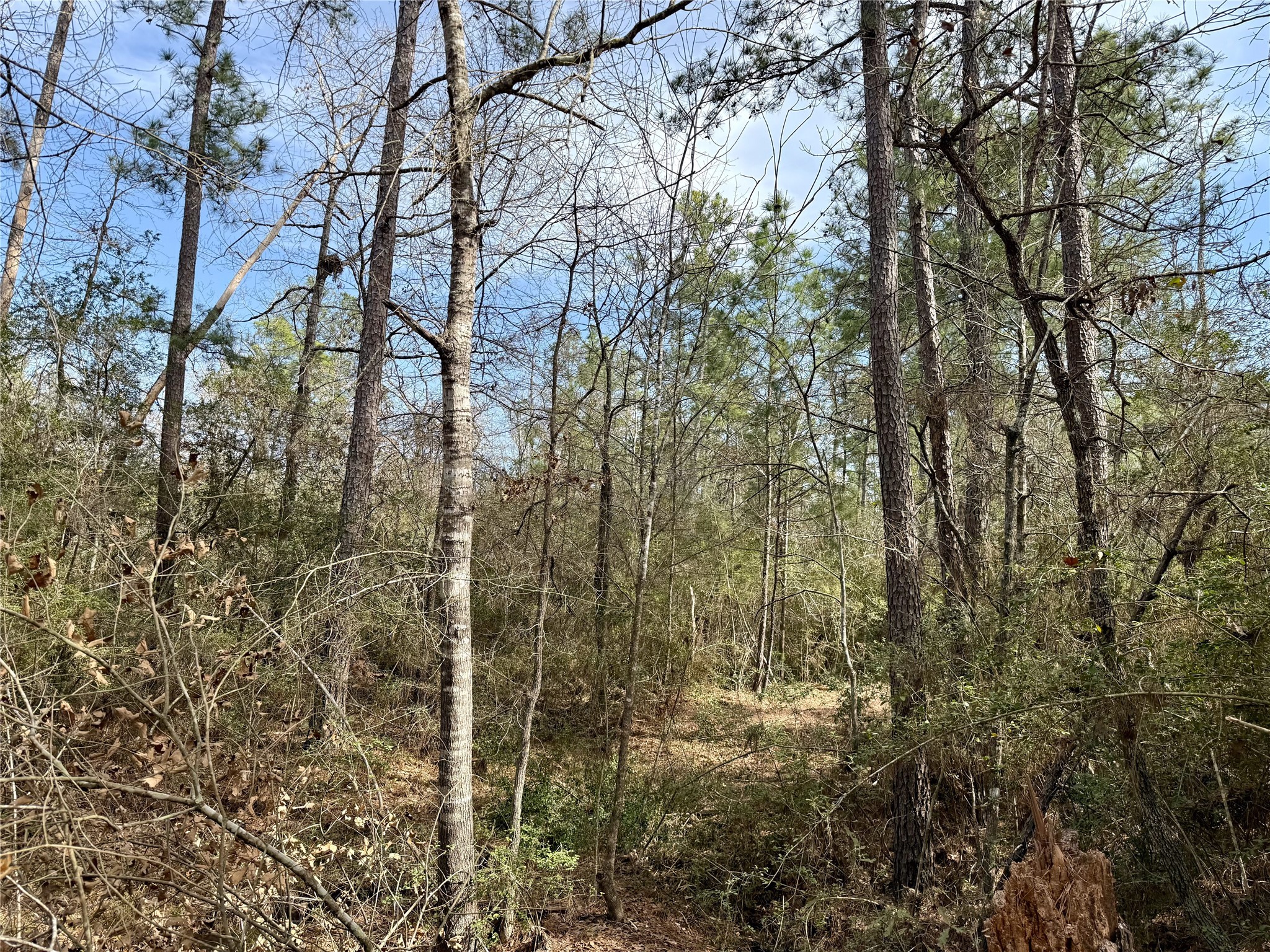 10+/- Acres Round Prairie Rd Property Photo 23