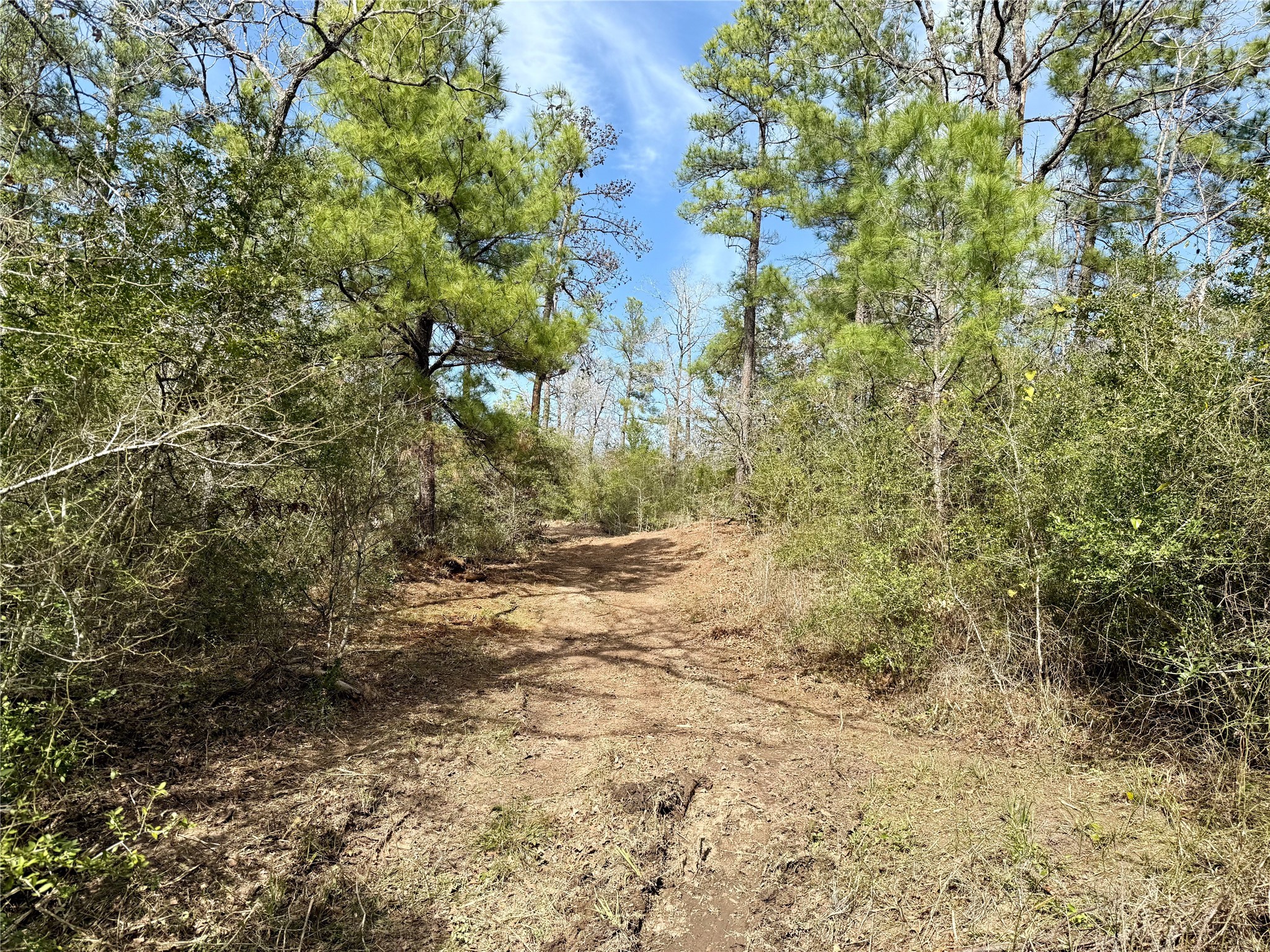 10+/- Acres Round Prairie Rd Property Photo 24
