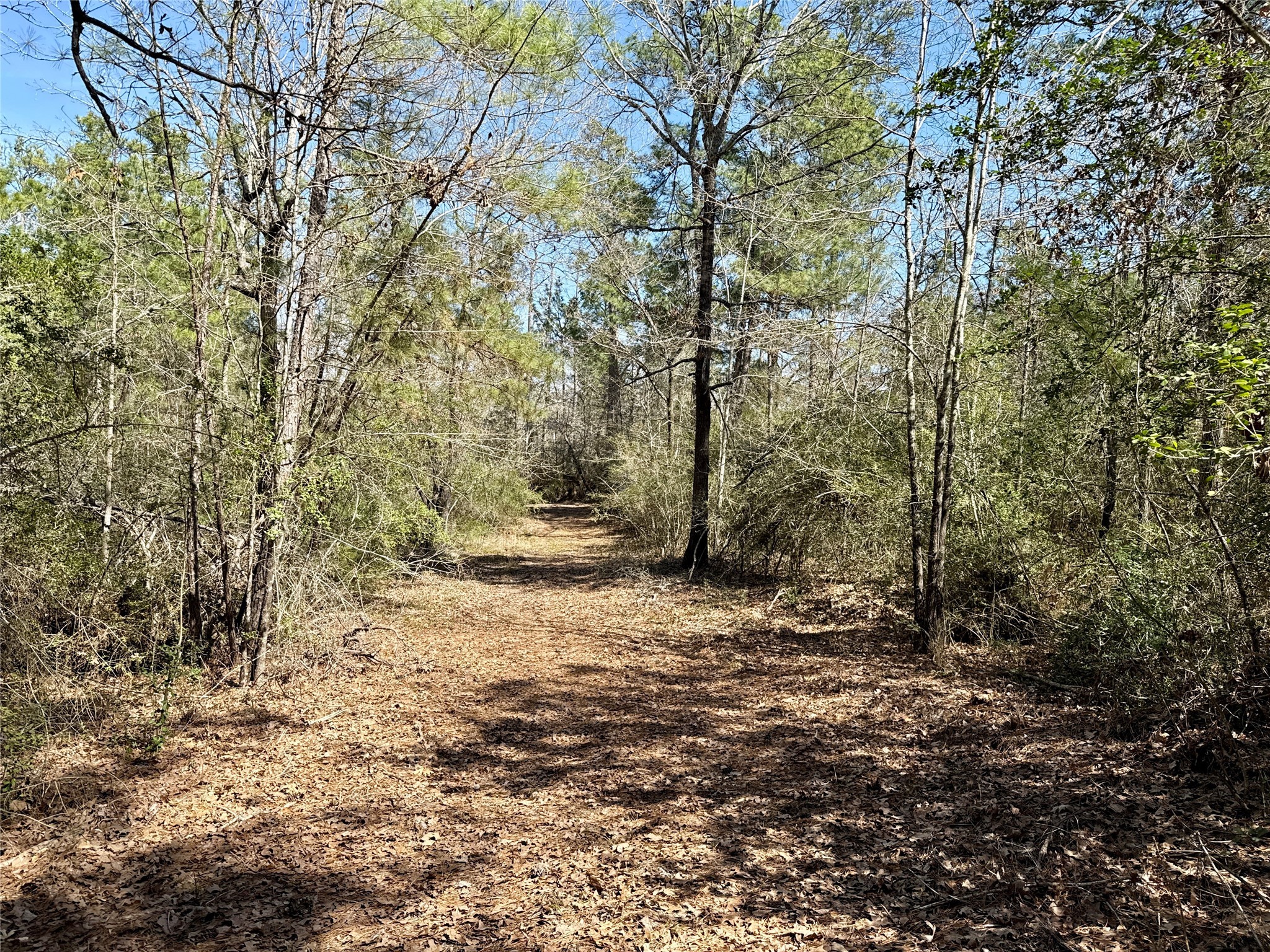 10+/- Acres Round Prairie Rd Property Photo 27