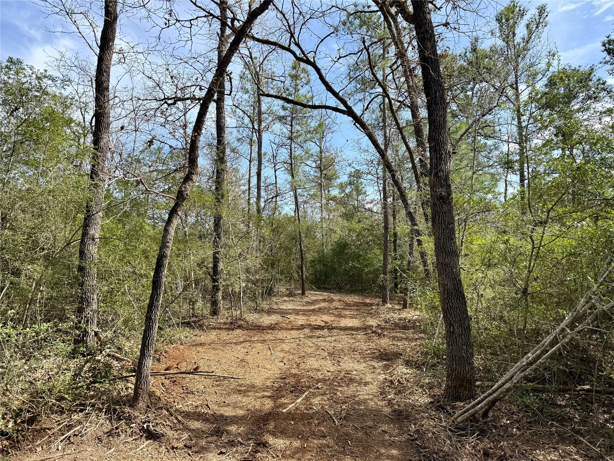 10+/- Acres Round Prairie Rd Property Photo 28