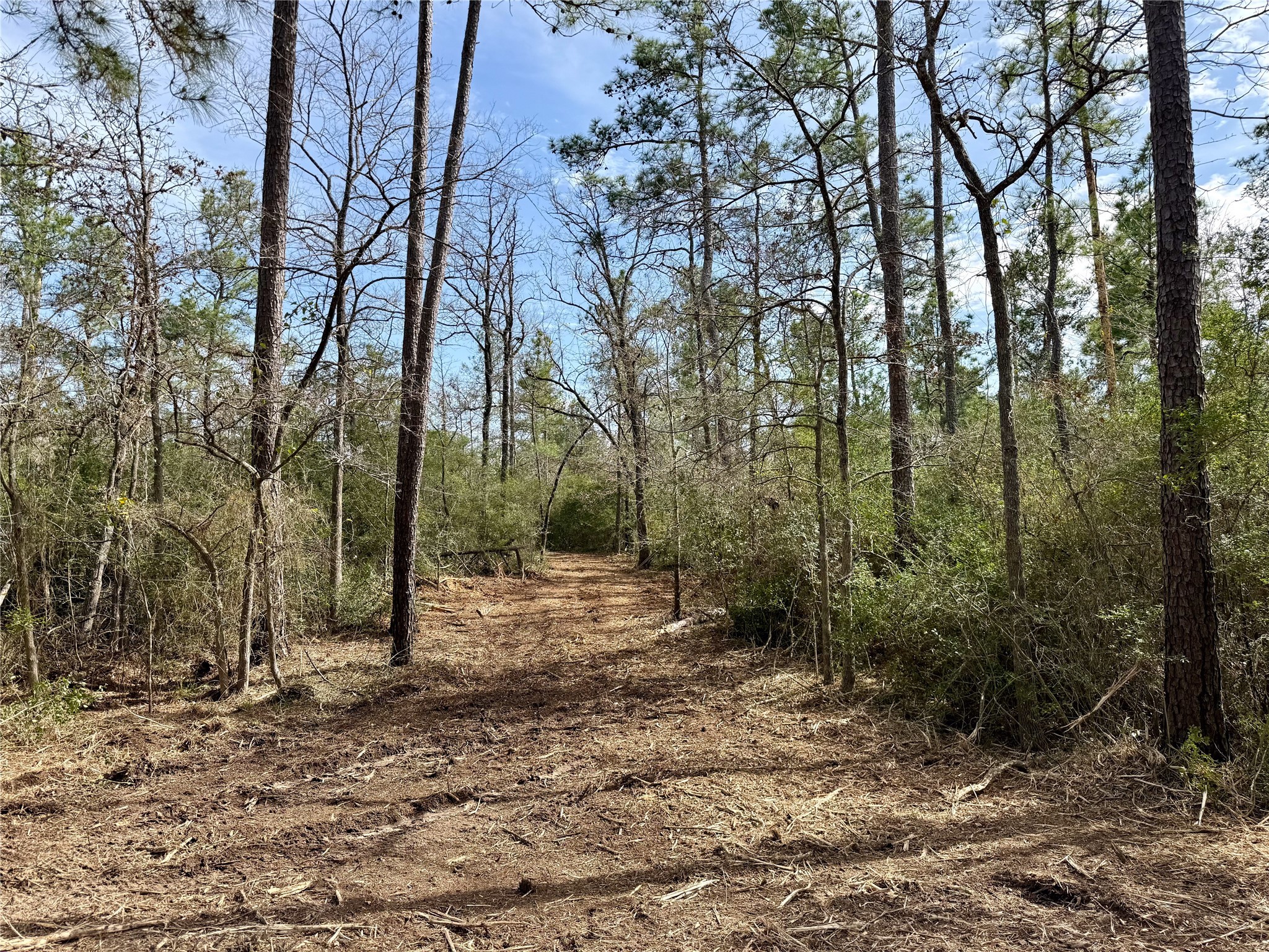 10+/- Acres Round Prairie Rd Property Photo 29