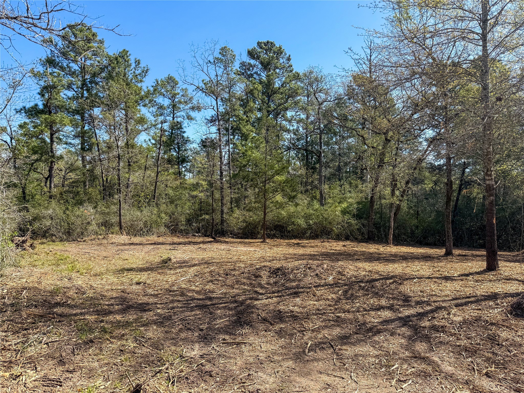 10+/- Acres Round Prairie Rd Property Photo 31