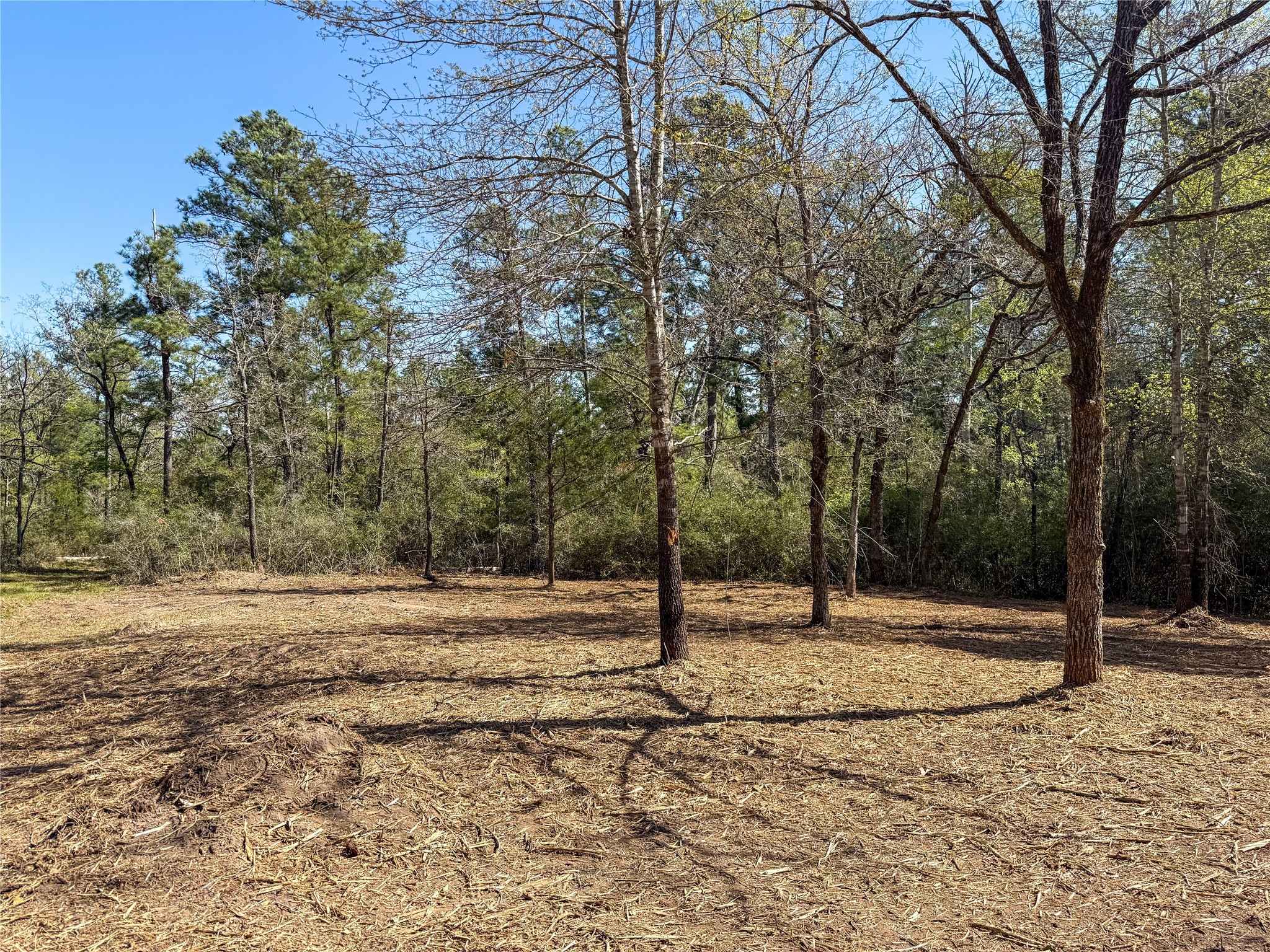 10+/- Acres Round Prairie Rd Property Photo 32