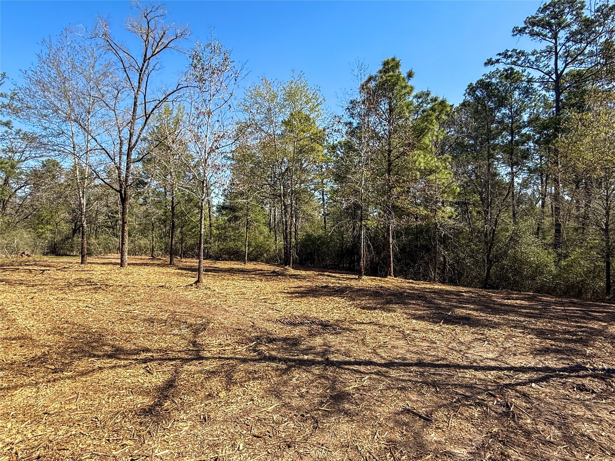 10+/- Acres Round Prairie Rd Property Photo 33