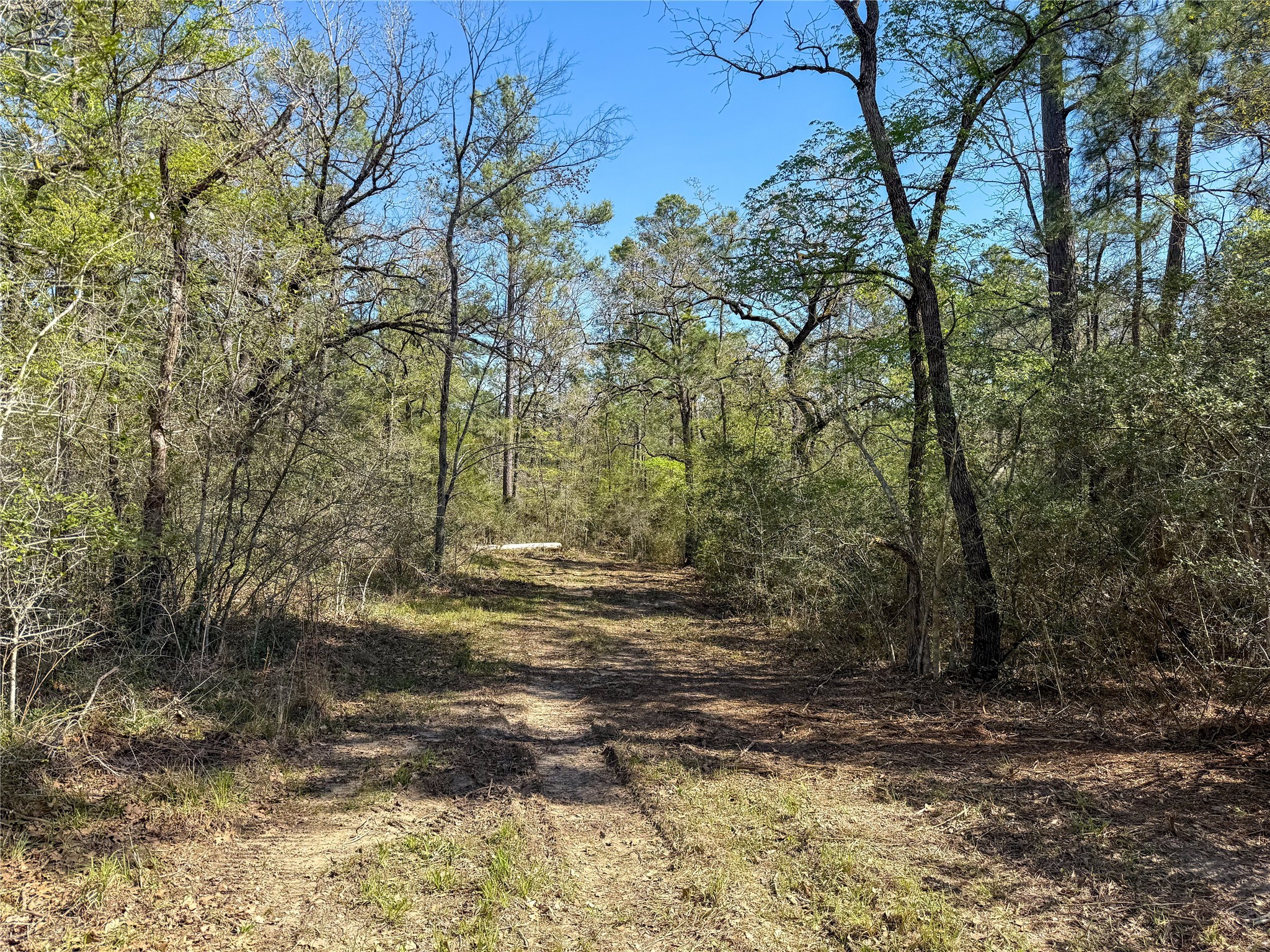 10+/- Acres Round Prairie Rd Property Photo 34