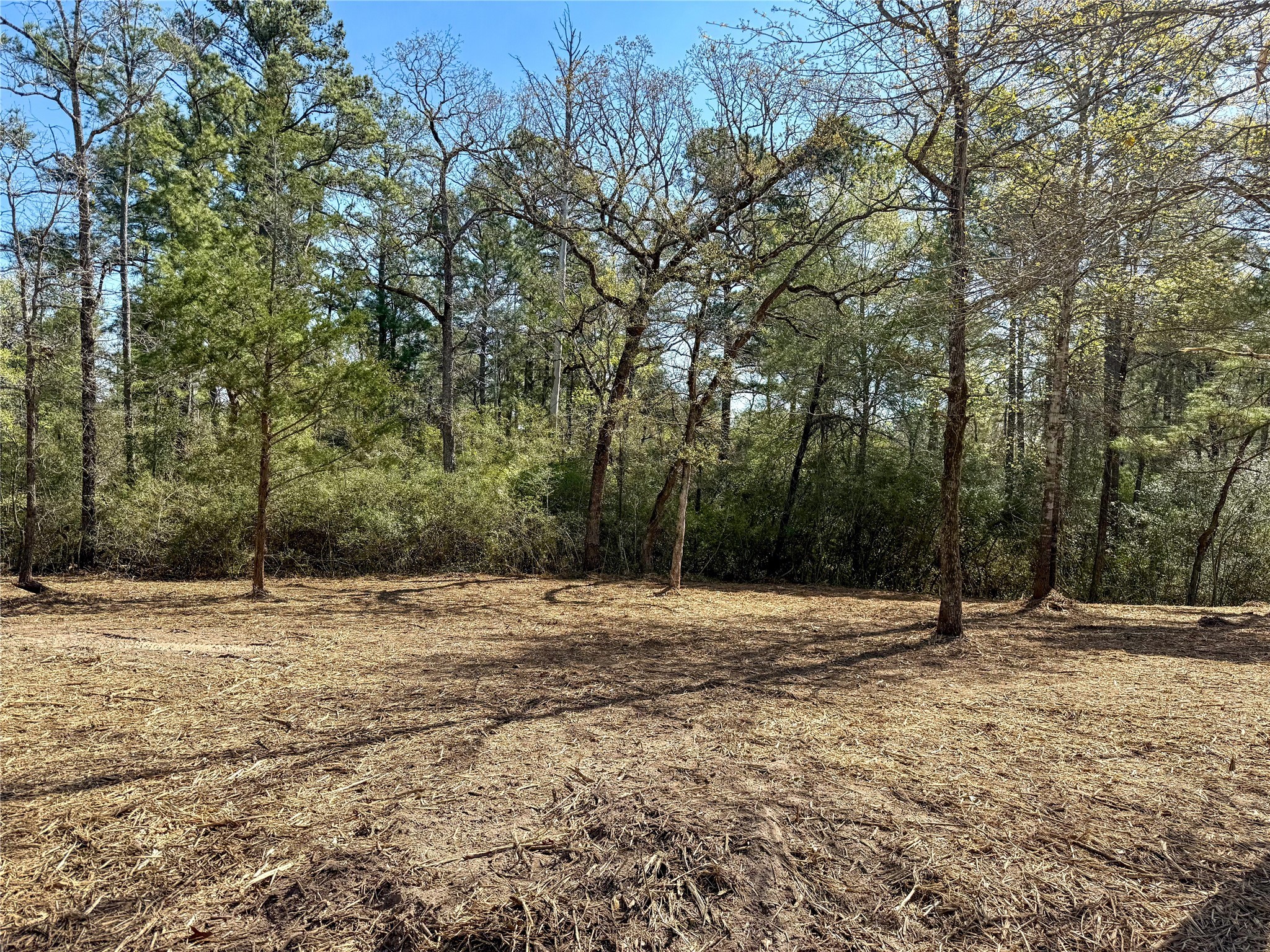 10+/- Acres Round Prairie Rd Property Photo 35