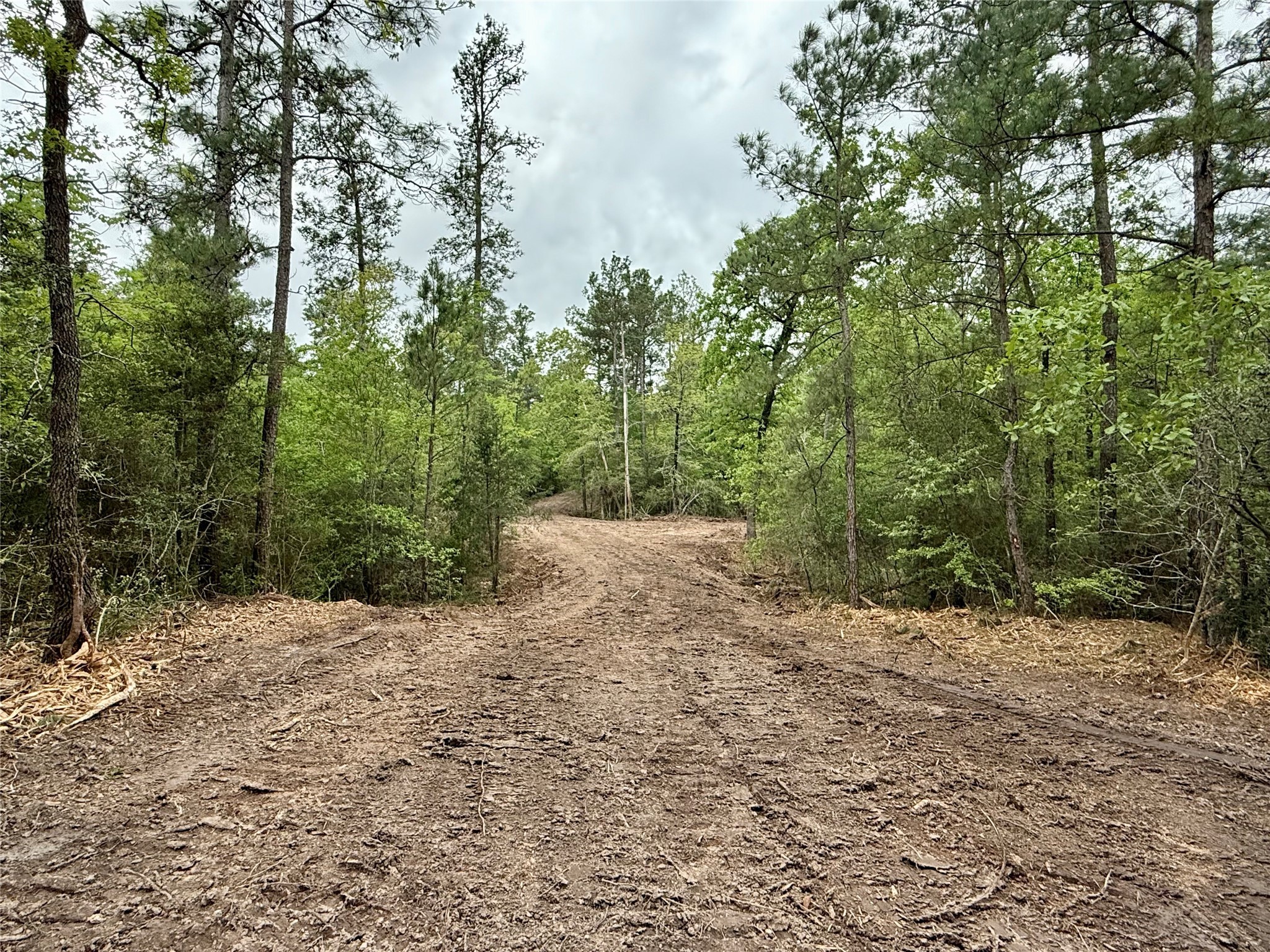 10+/- Acres Round Prairie Rd Property Photo 36