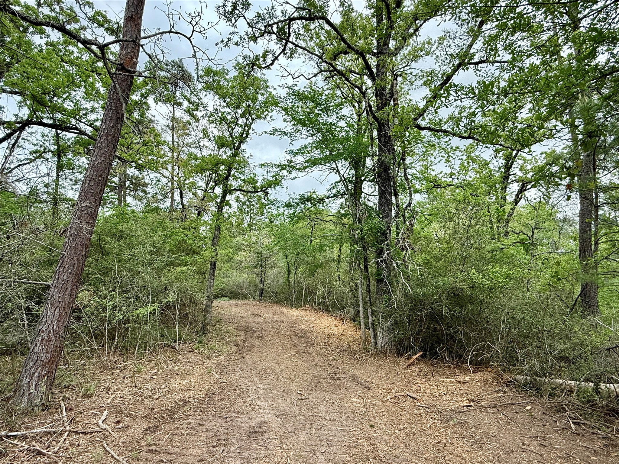 10+/- Acres Round Prairie Rd Property Photo 37