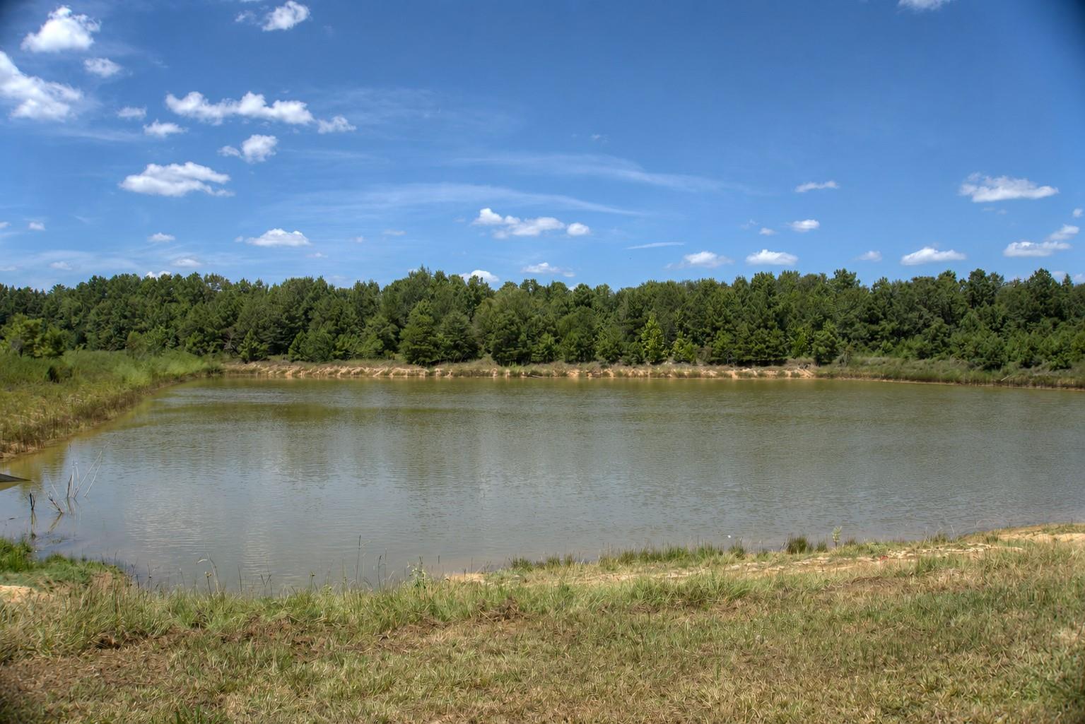 1700 Fm 3460 Road Property Photo 40