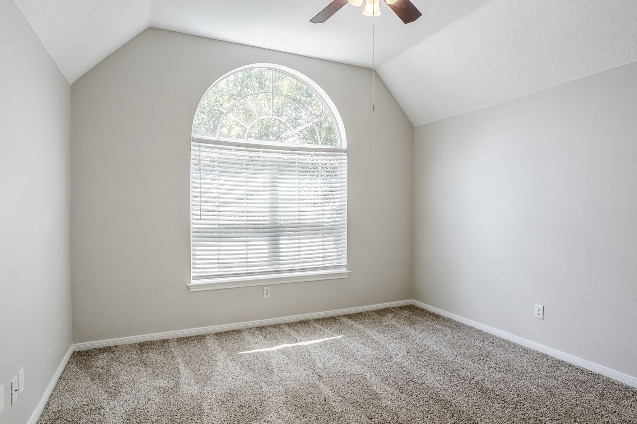 16511 Bluefin Street Property Photo 37