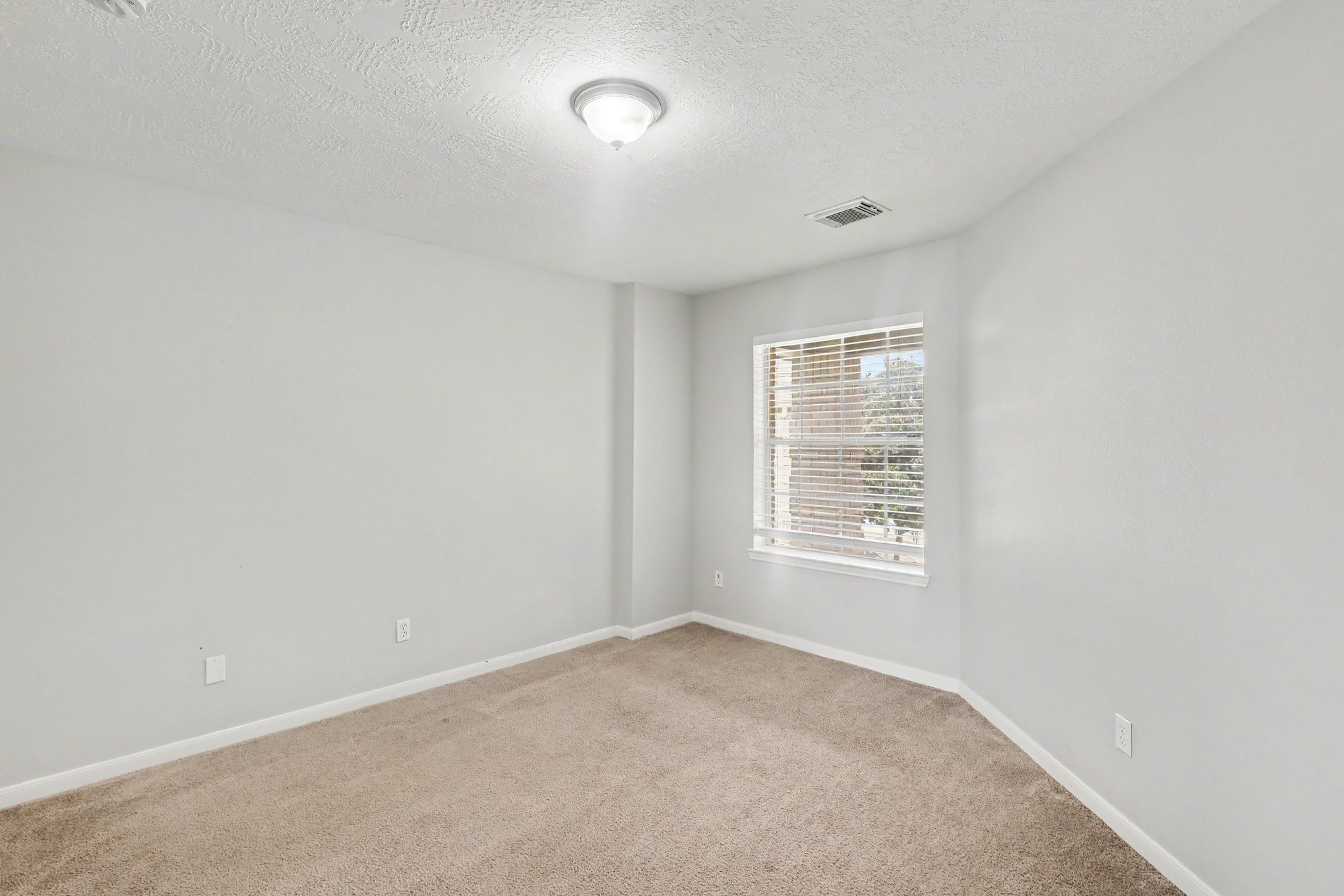 10107 Bayou Trail Court Property Photo 20