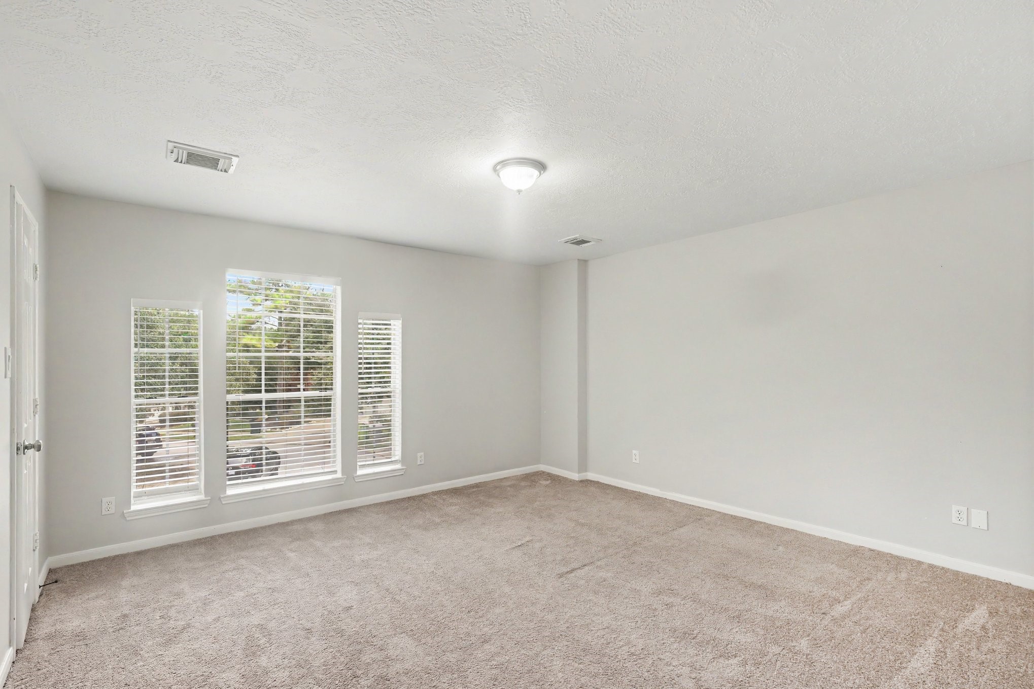 10107 Bayou Trail Court Property Photo 29