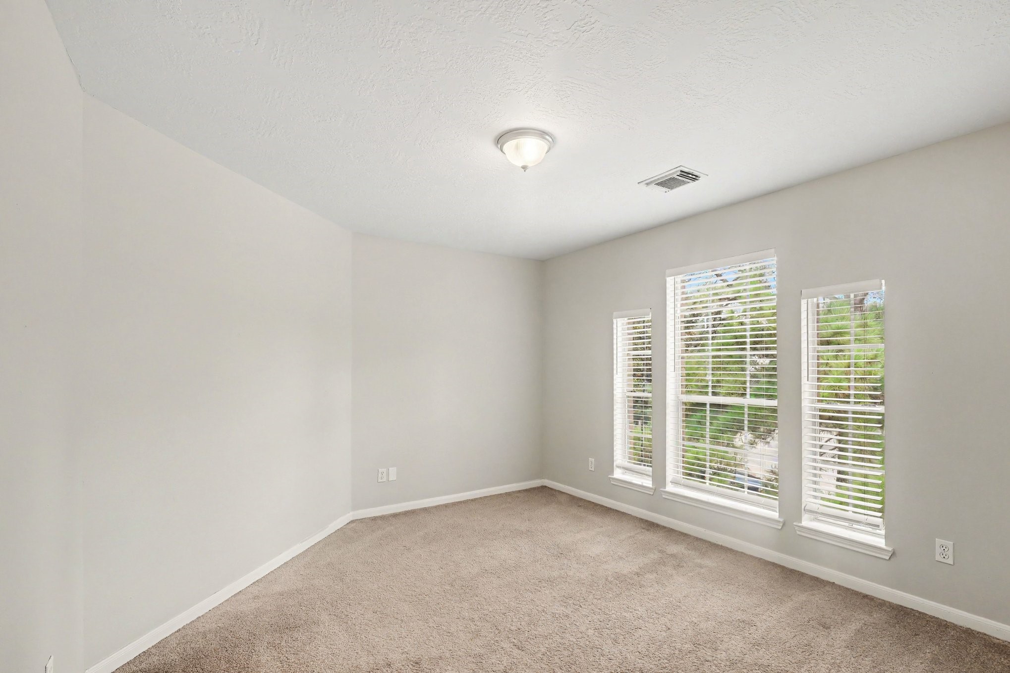 10107 Bayou Trail Court Property Photo 31