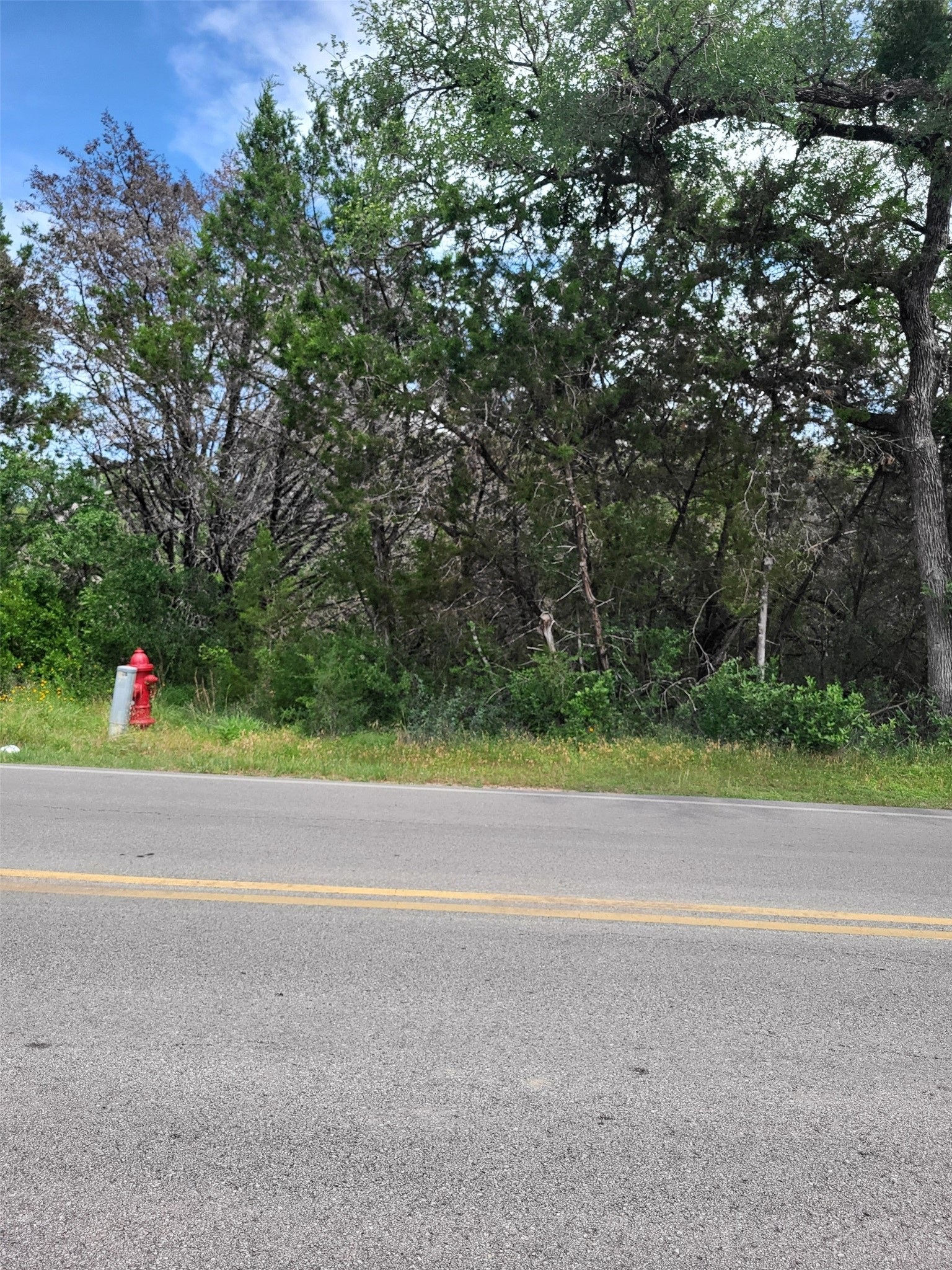 7101 Bar-k Ranch Road Property Photo 4
