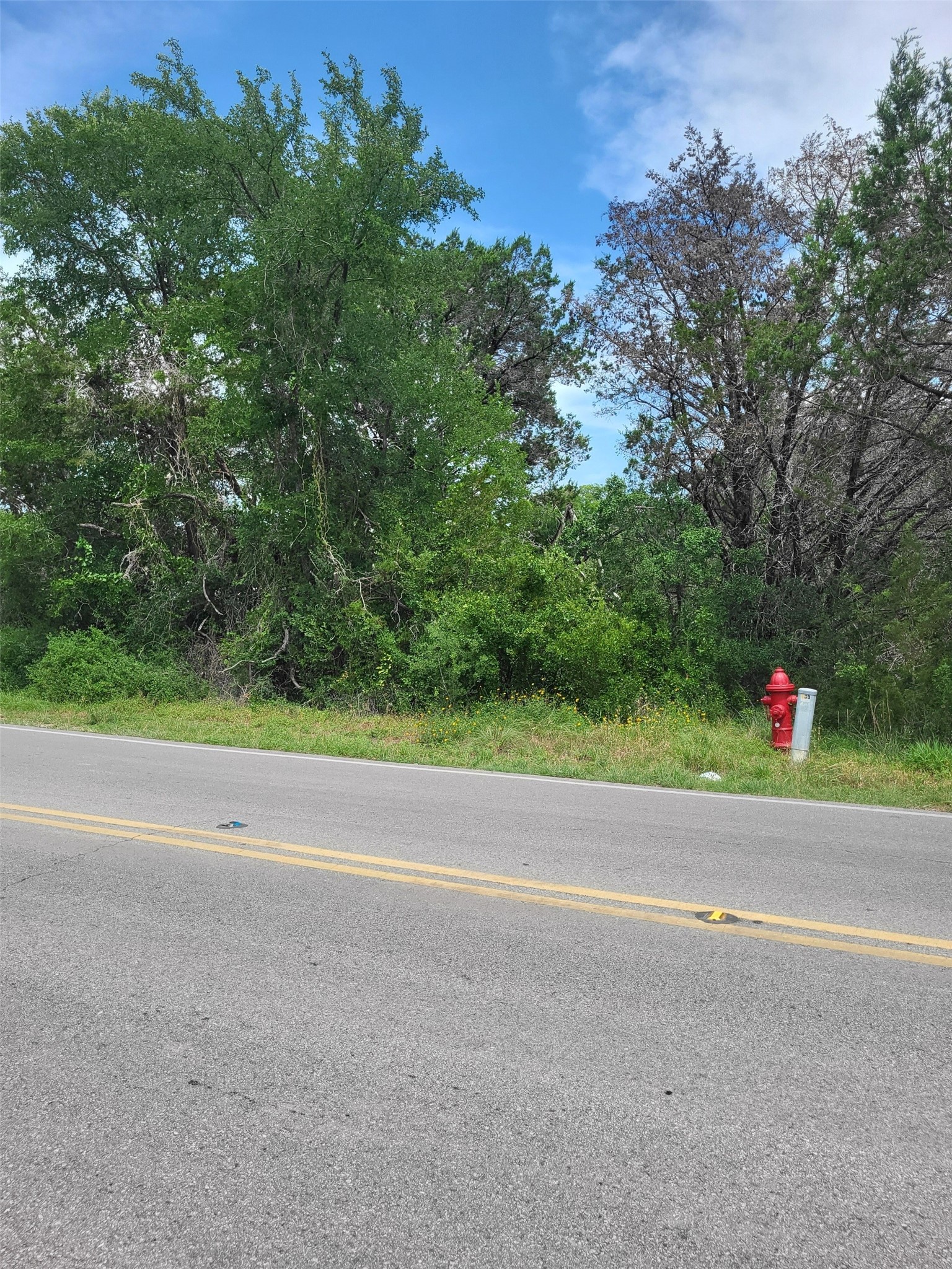 7101 Bar-k Ranch Road Property Photo 5