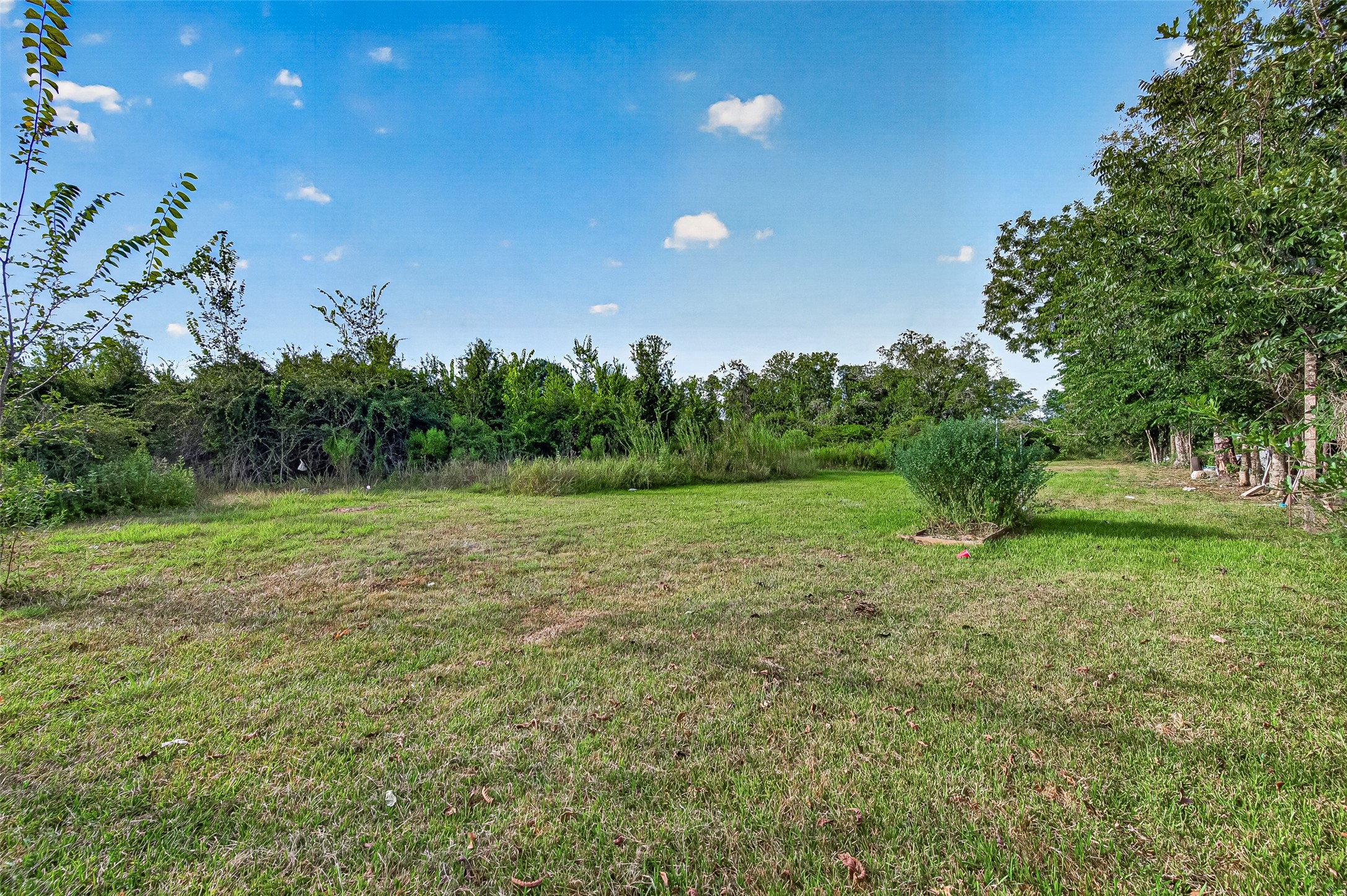 4739 Fm 1096 Road Property Photo 6