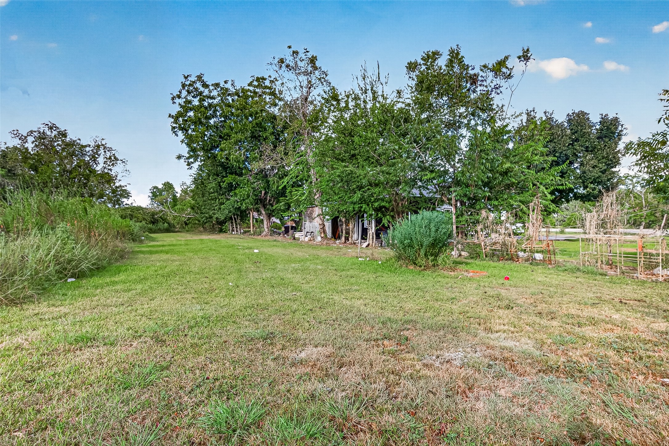 4739 Fm 1096 Road Property Photo 7