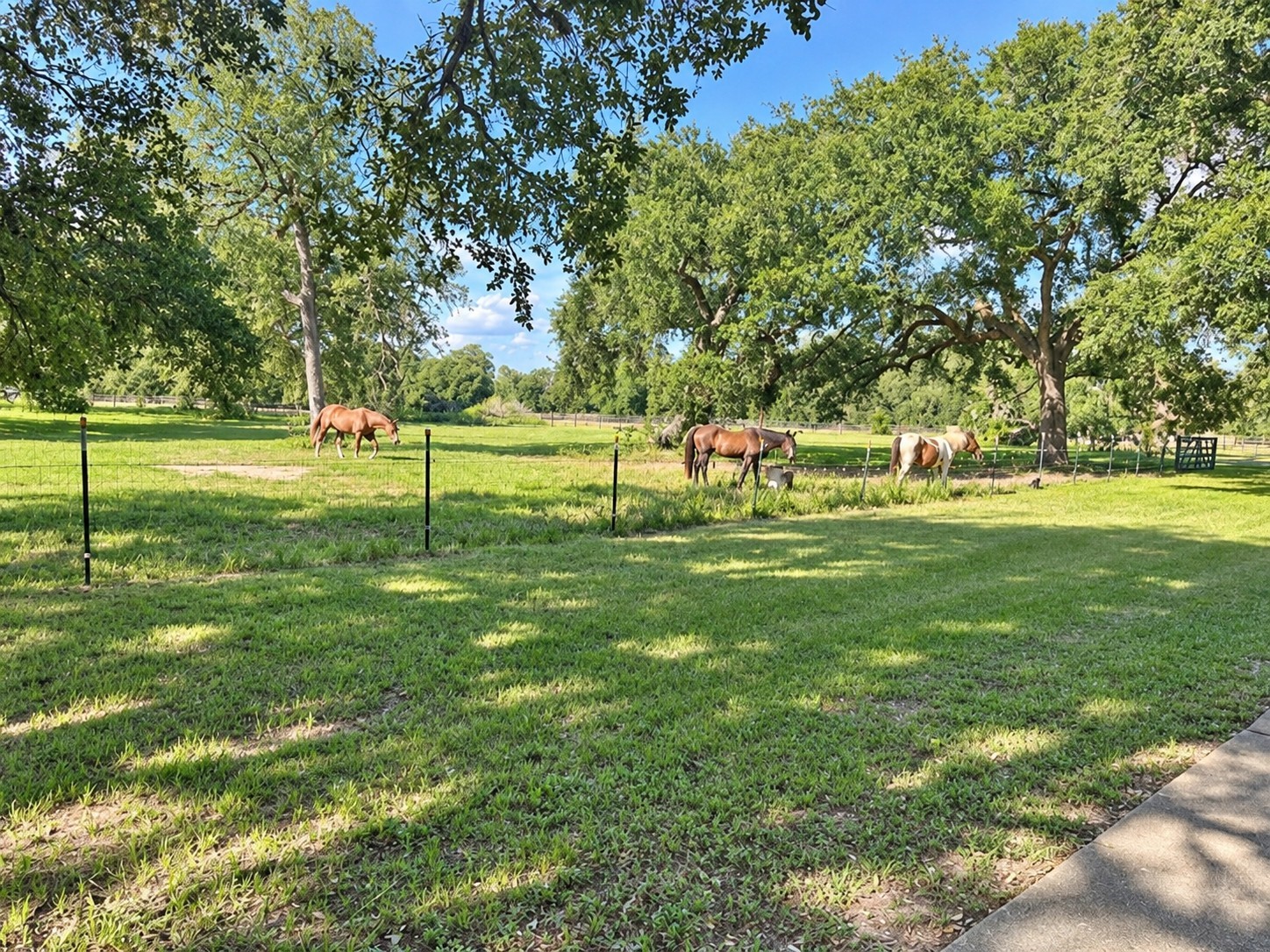 6510 Fm 3012 Road Property Photo 5