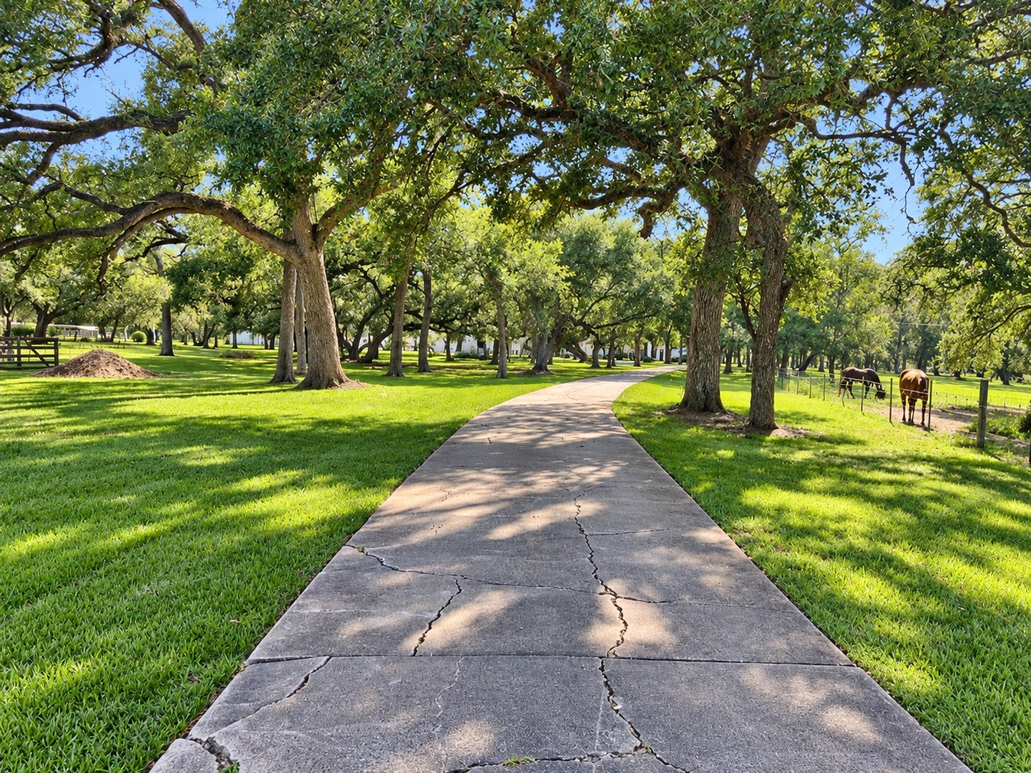 6510 Fm 3012 Road Property Photo 5