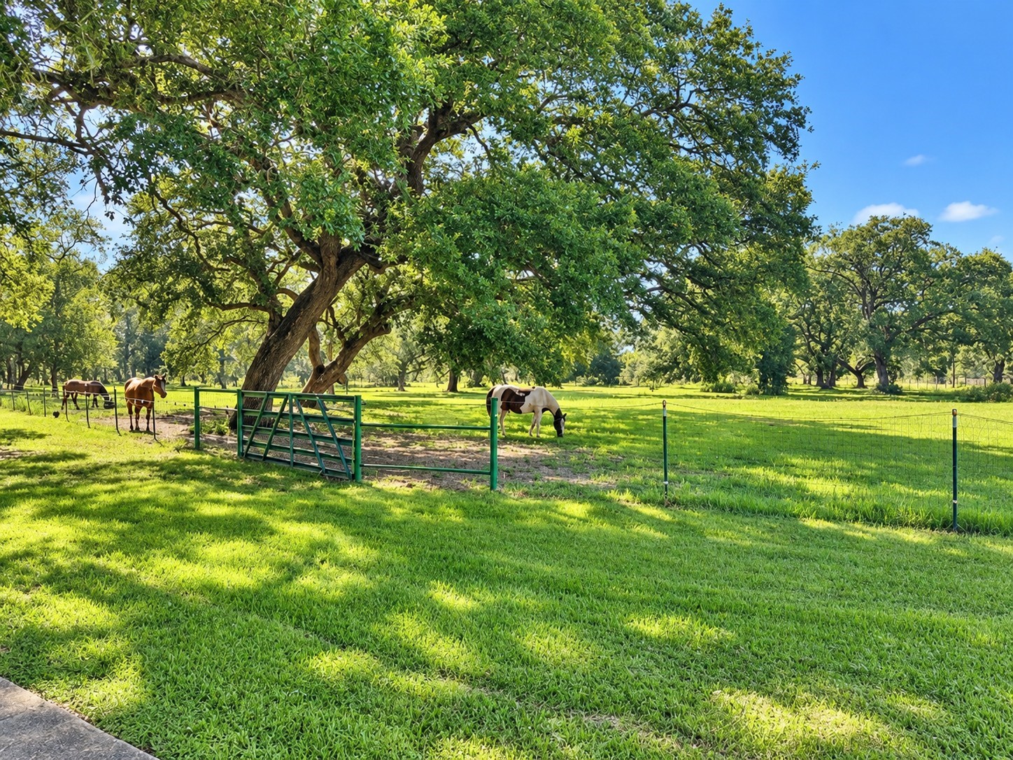 6510 Fm 3012 Road Property Photo 24
