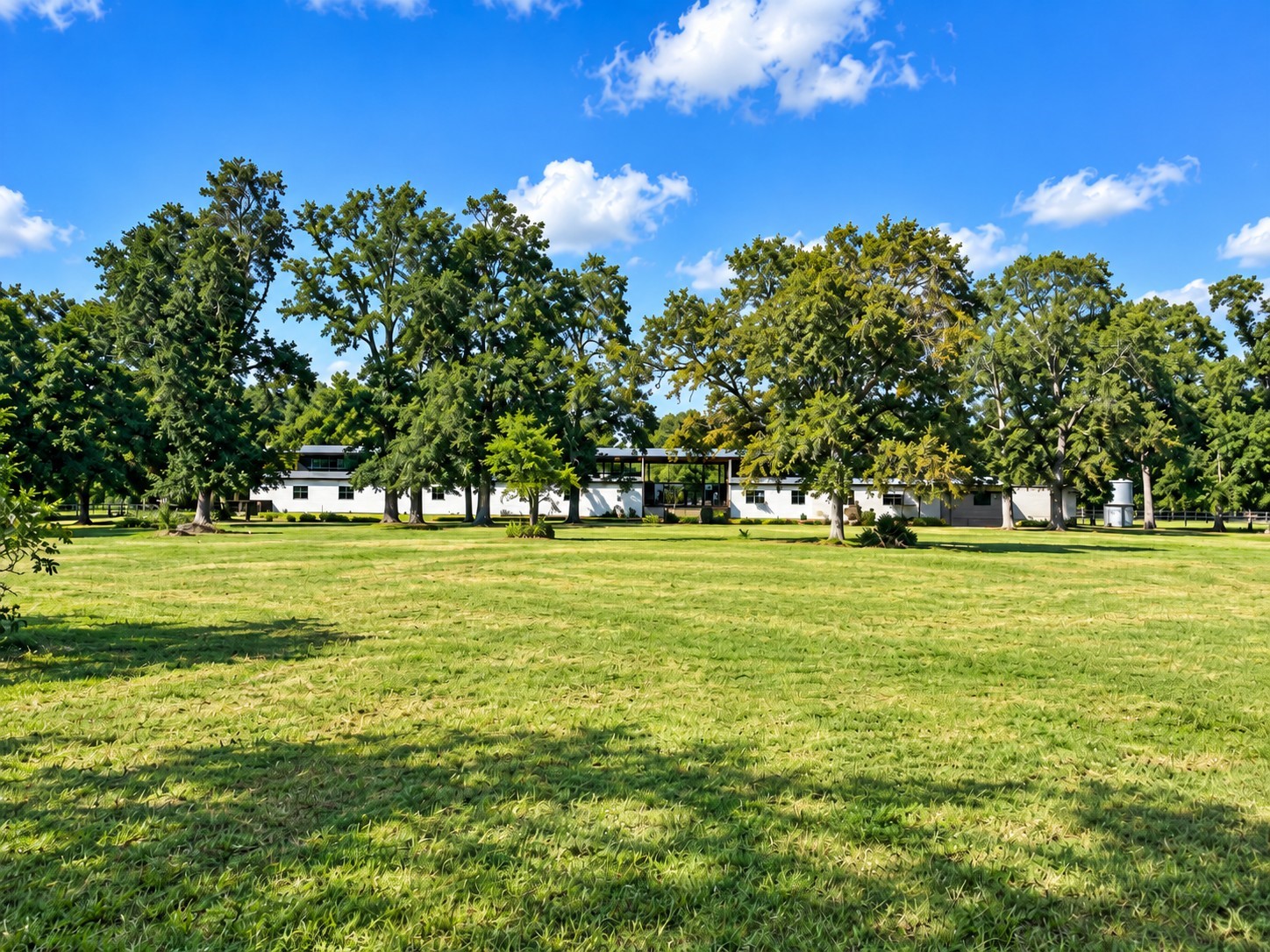 6510 Fm 3012 Road Property Photo 41