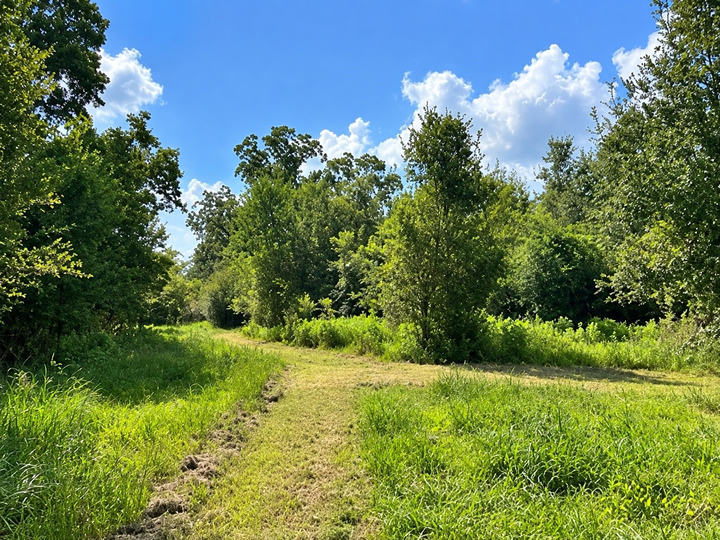 6510 Fm 3012 Road Property Photo 45
