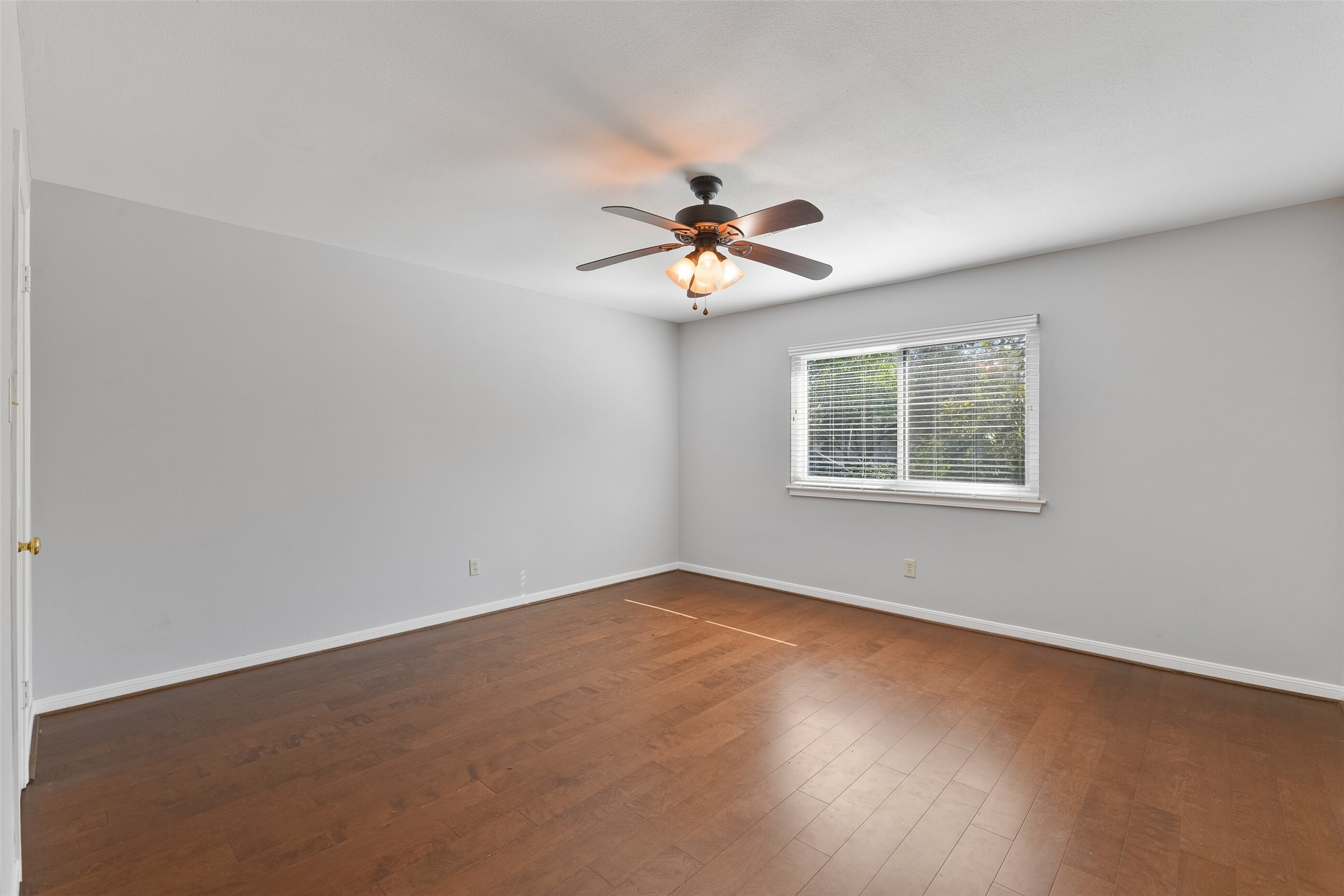 43 Hessenford Street Property Photo 25