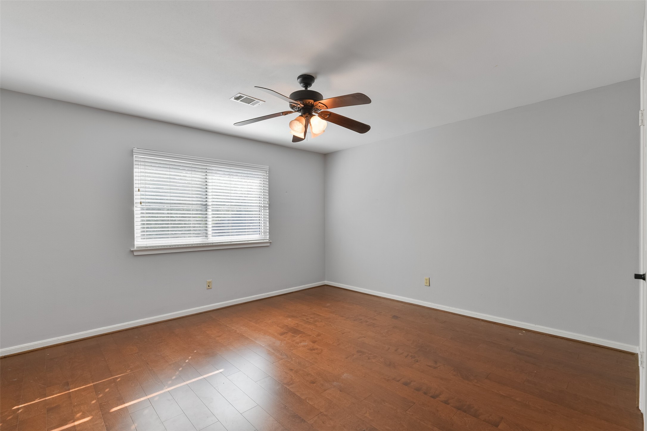 43 Hessenford Street Property Photo 28