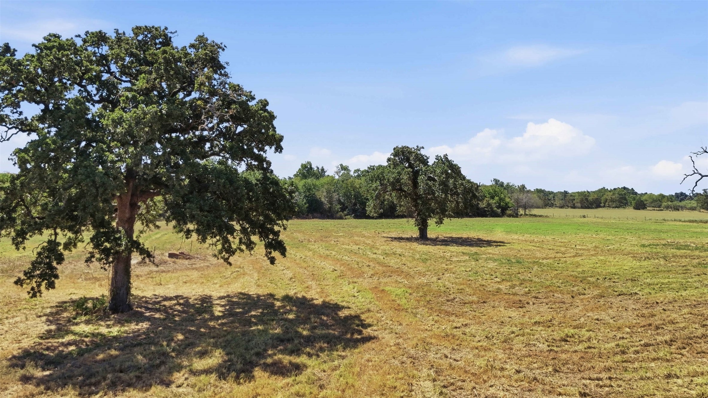 10.51 Acres Farm To Market 979 Road Property Photo 3