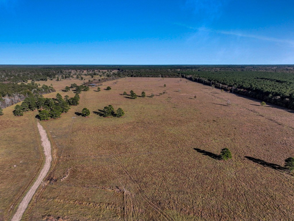 Tbd County Road 2058 Property Photo 4