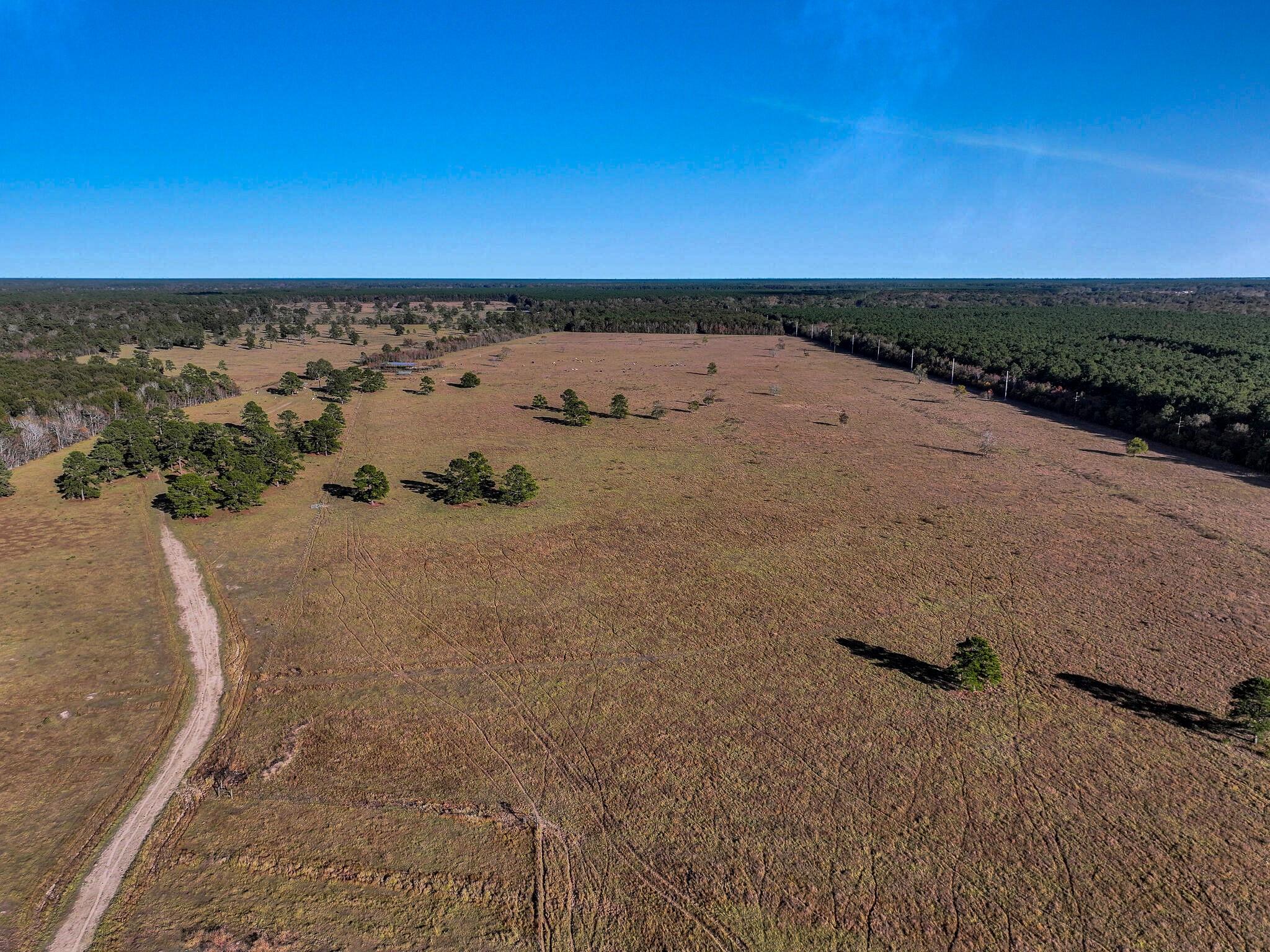 Tbd County Road 2058, Hull Tx 77564 Property Photo 4