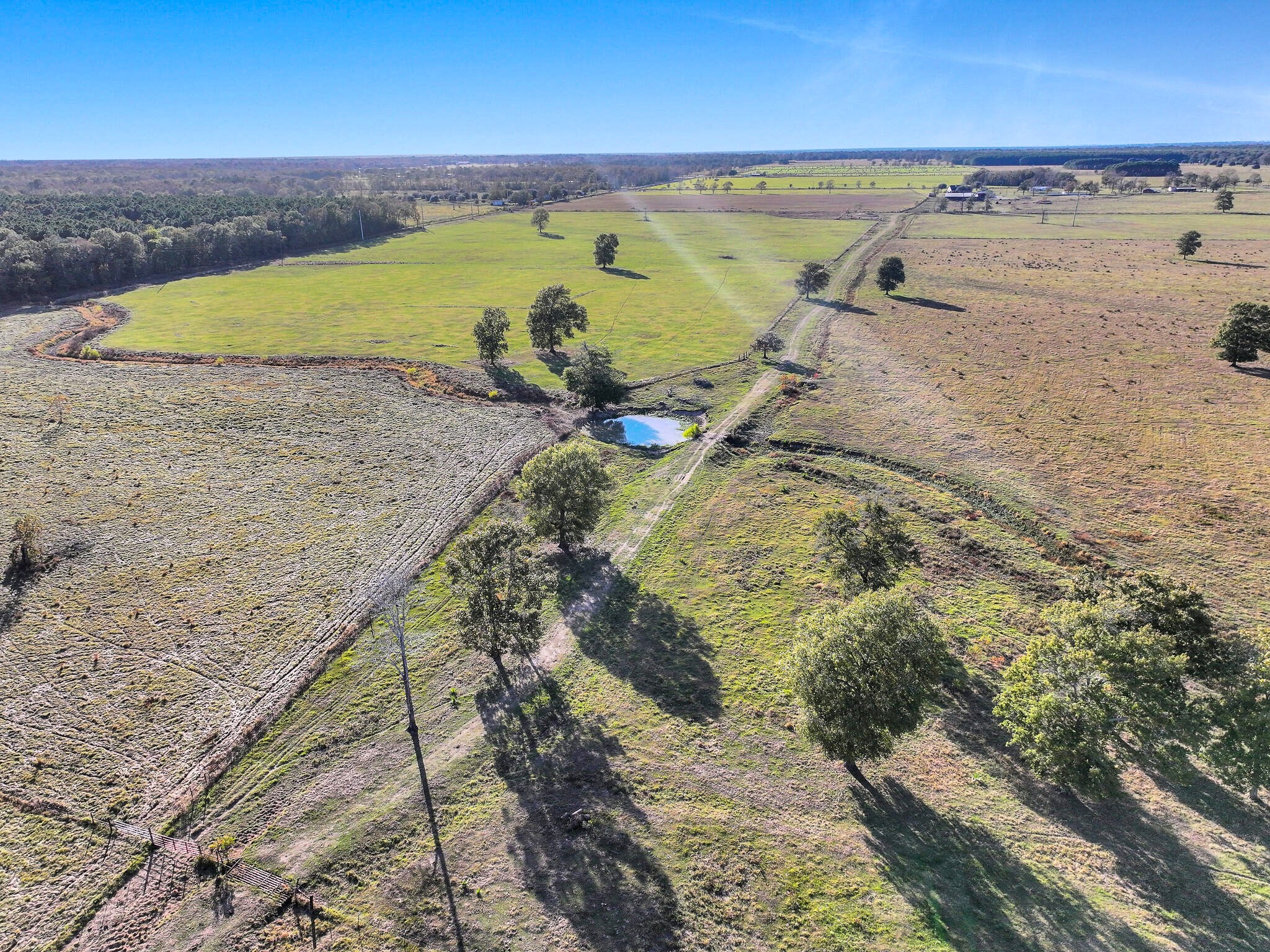 Tbd County Road 2058 Property Photo 6