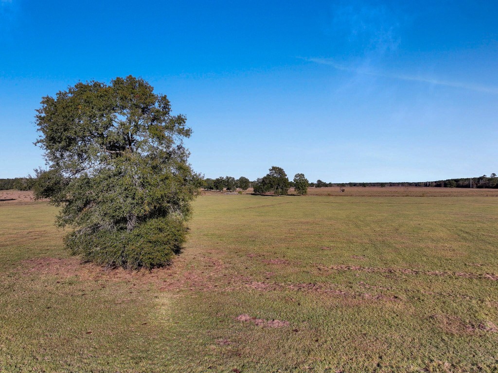 Tbd County Road 2058 Property Photo 7