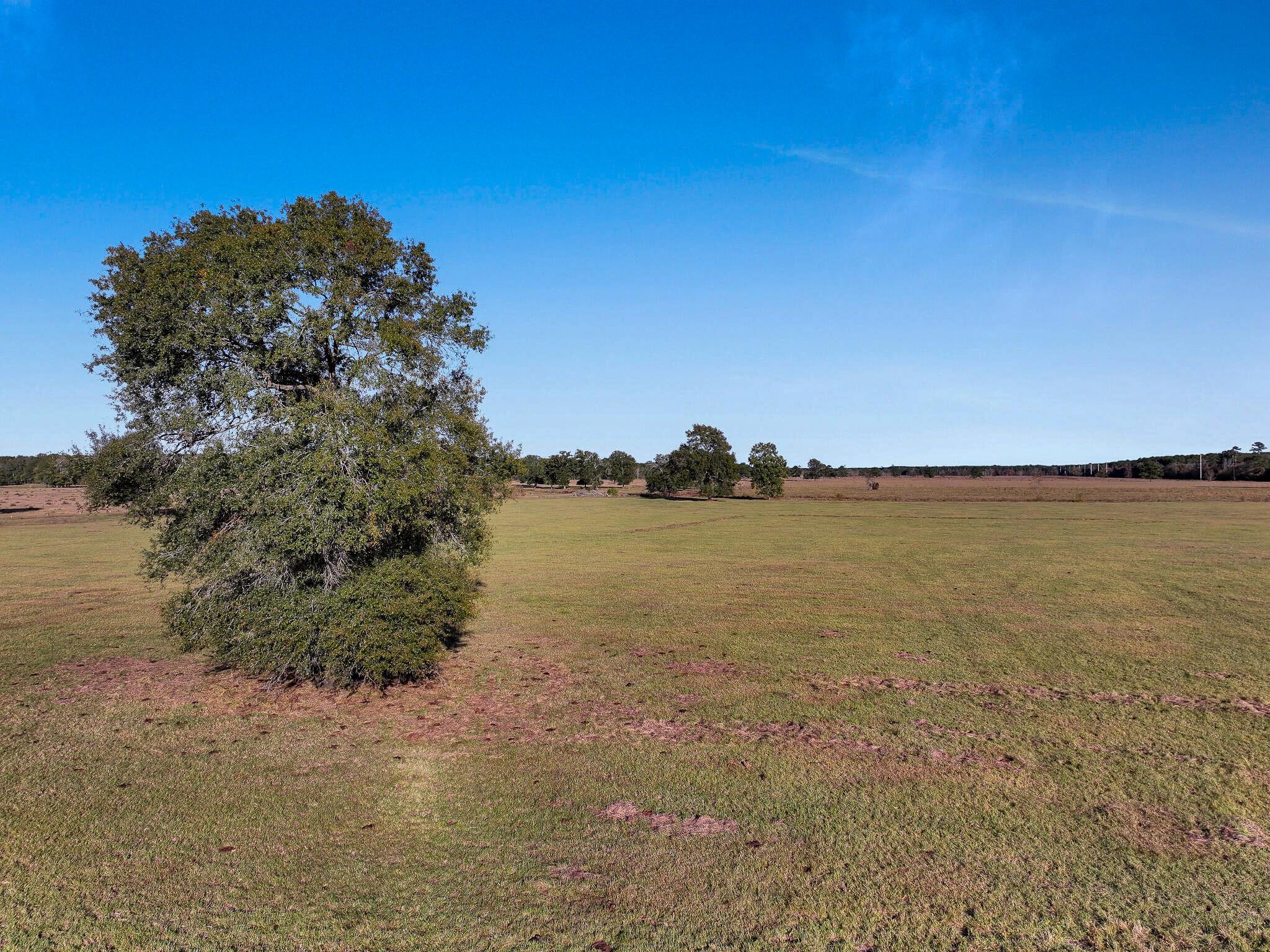 Tbd County Road 2058, Hull Tx 77564 Property Photo 7