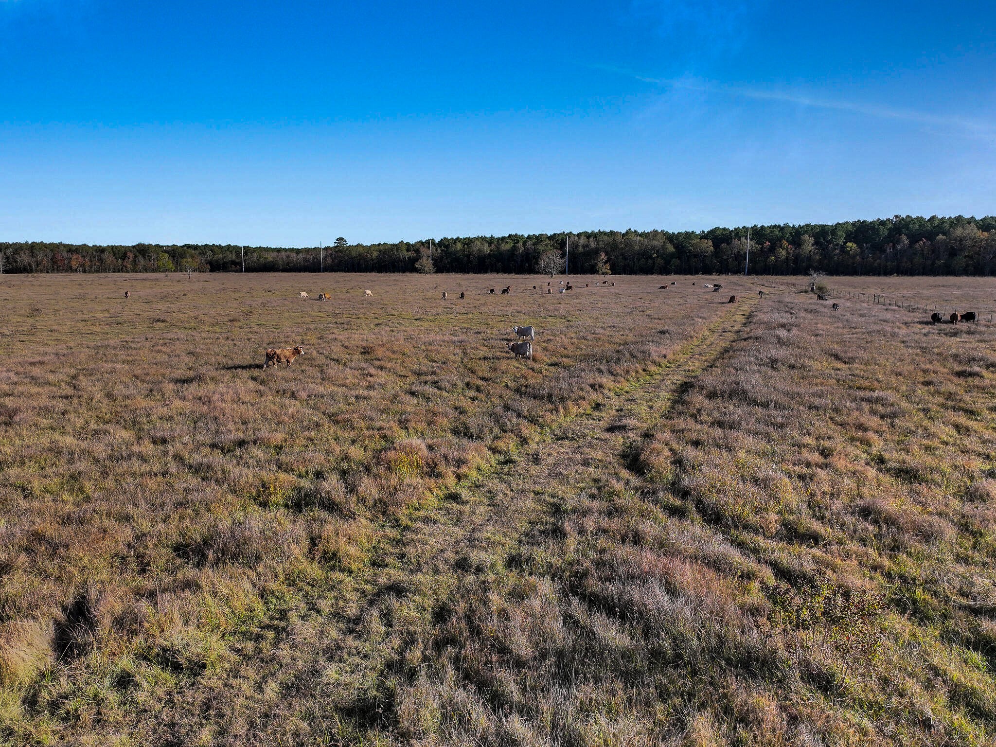 Tbd County Road 2058 Property Photo 8