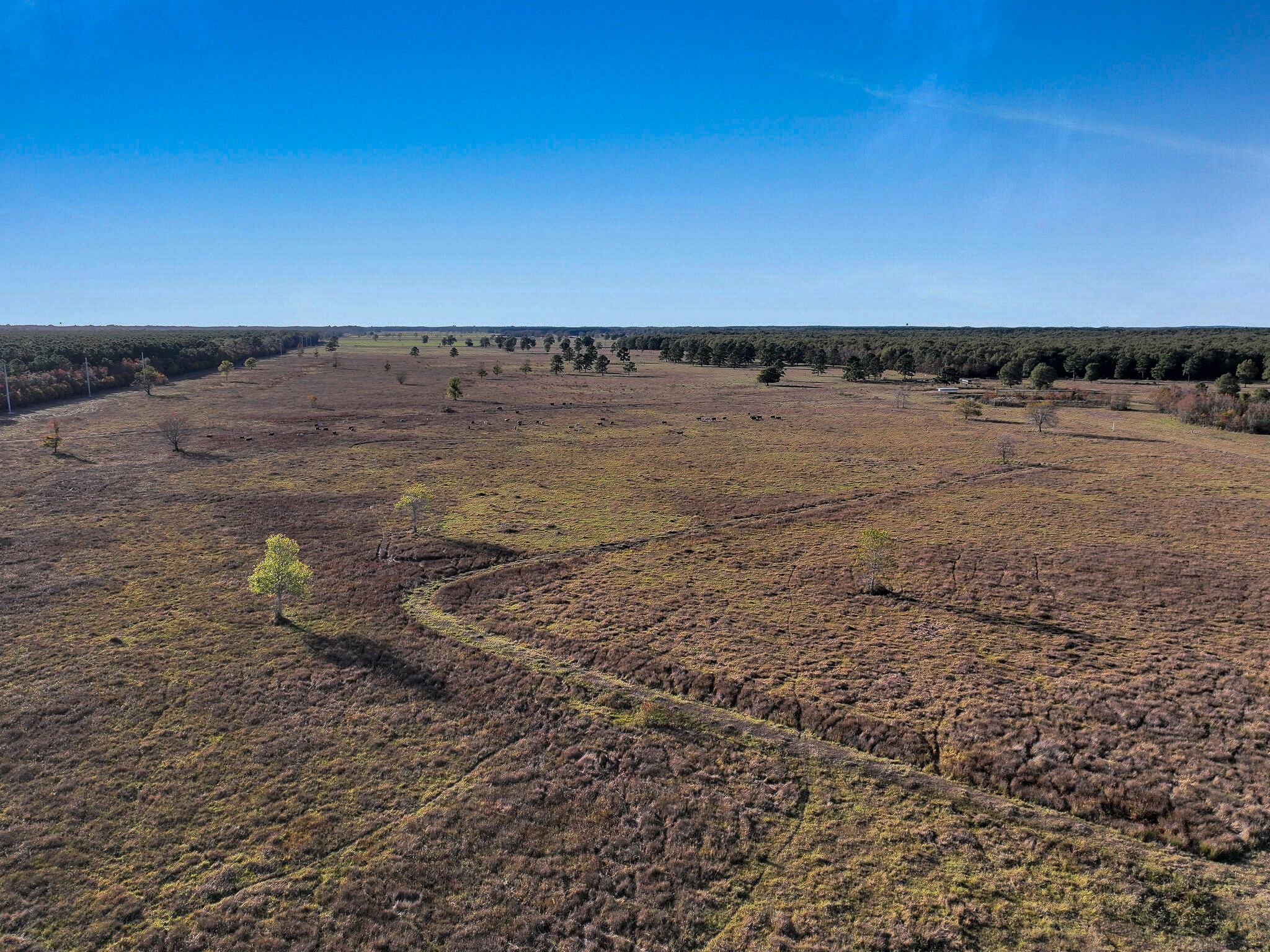 Tbd County Road 2058 Property Photo 9