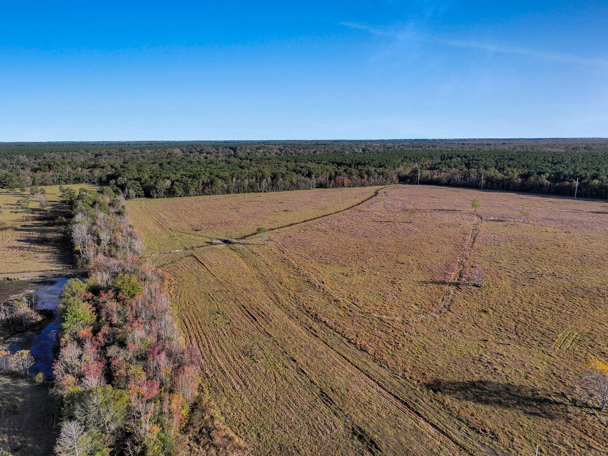 Tbd County Road 2058 Property Photo 10