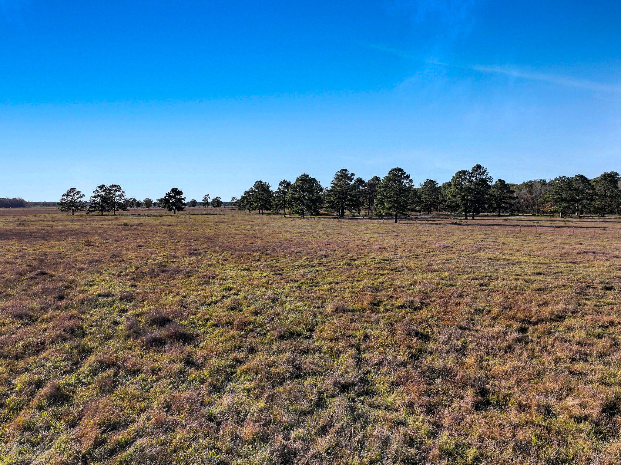 Tbd County Road 2058 Property Photo 11